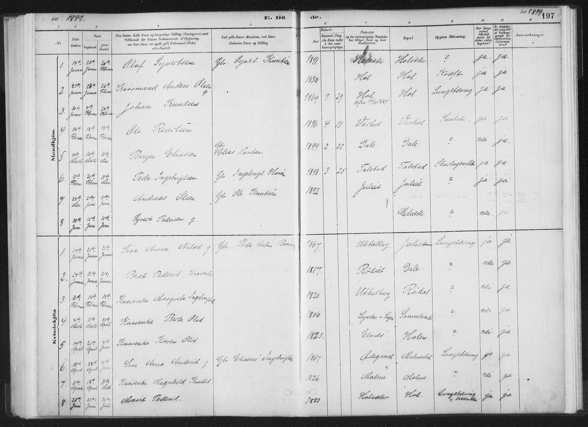 Ministerialprotokoller, klokkerbøker og fødselsregistre - Møre og Romsdal, AV/SAT-A-1454/564/L0740: Ministerialbok nr. 564A01, 1880-1899, s. 197