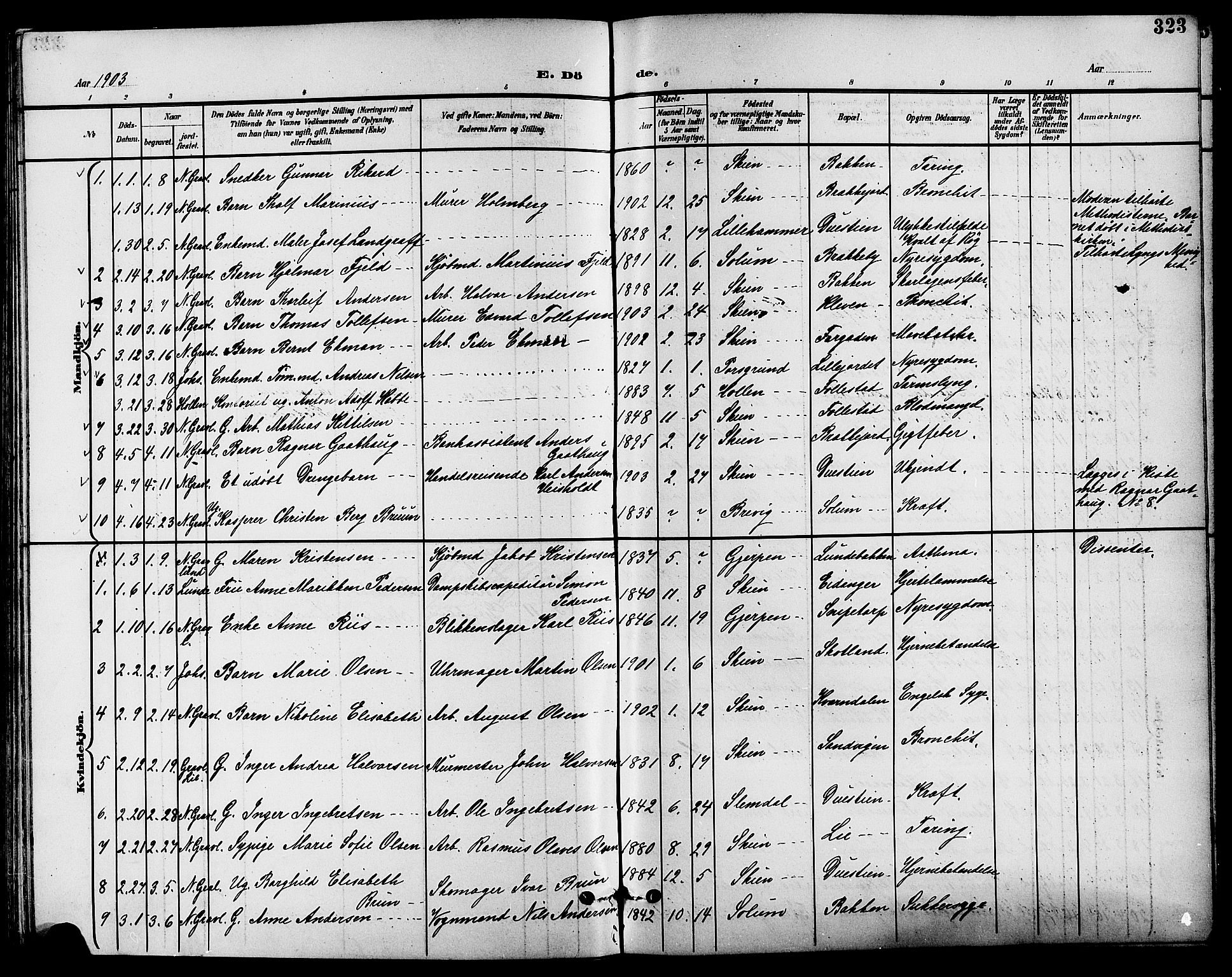 Skien kirkebøker, AV/SAKO-A-302/G/Ga/L0008: Klokkerbok nr. 8, 1900-1910, s. 323