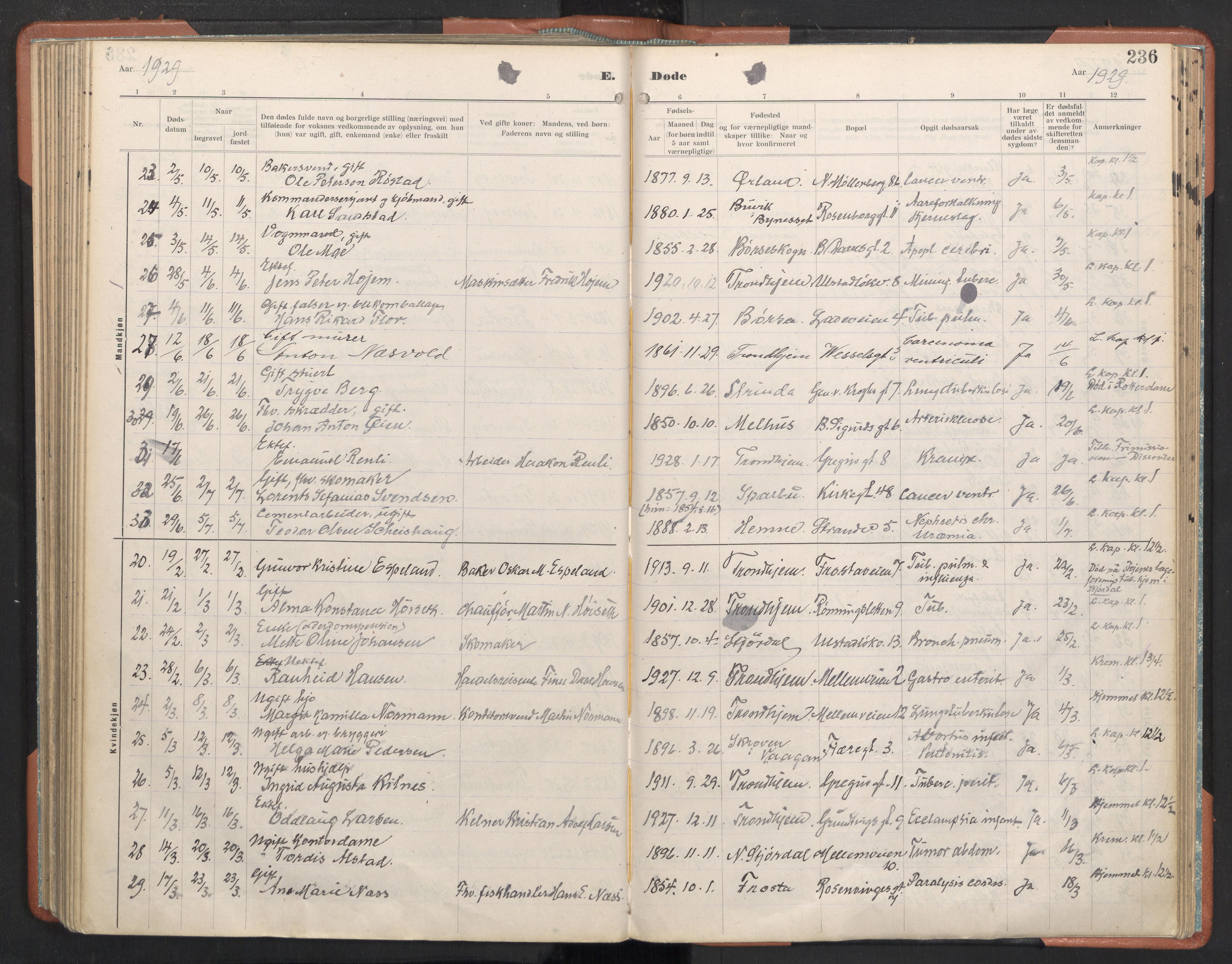 Ministerialprotokoller, klokkerbøker og fødselsregistre - Sør-Trøndelag, SAT/A-1456/605/L0245: Ministerialbok nr. 605A07, 1916-1938, s. 236