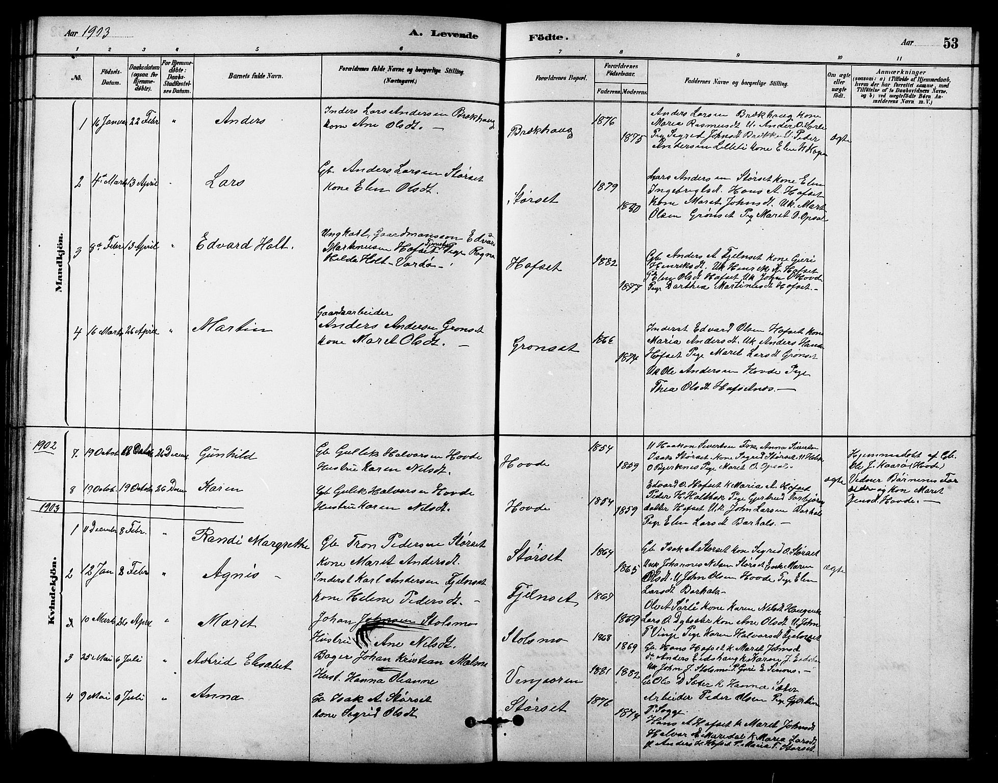 Ministerialprotokoller, klokkerbøker og fødselsregistre - Sør-Trøndelag, AV/SAT-A-1456/631/L0514: Klokkerbok nr. 631C02, 1879-1912, s. 53