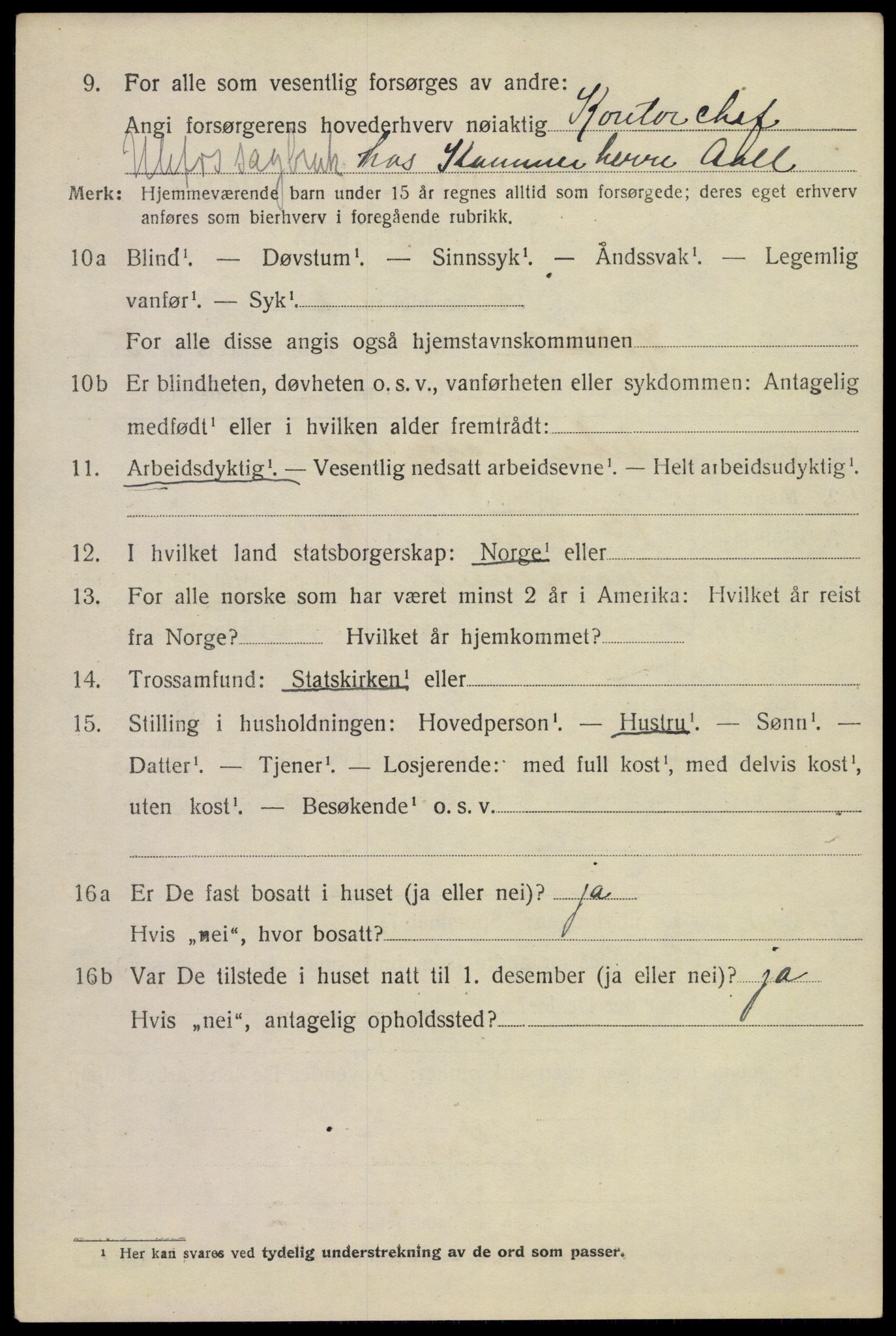 SAKO, Folketelling 1920 for 0819 Holla herred, 1920, s. 4072