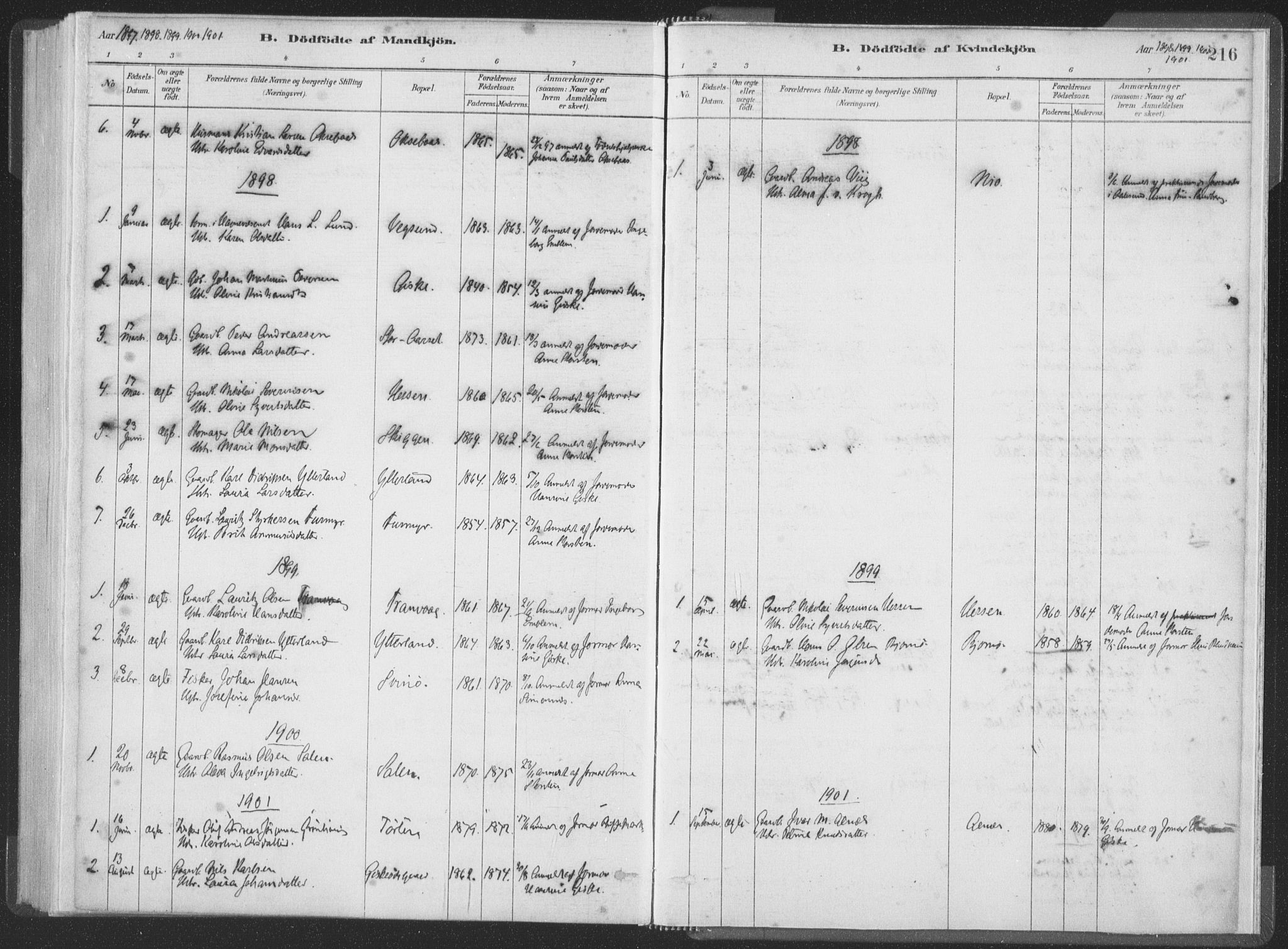 Ministerialprotokoller, klokkerbøker og fødselsregistre - Møre og Romsdal, SAT/A-1454/528/L0401: Ministerialbok nr. 528A12I, 1880-1920, s. 216