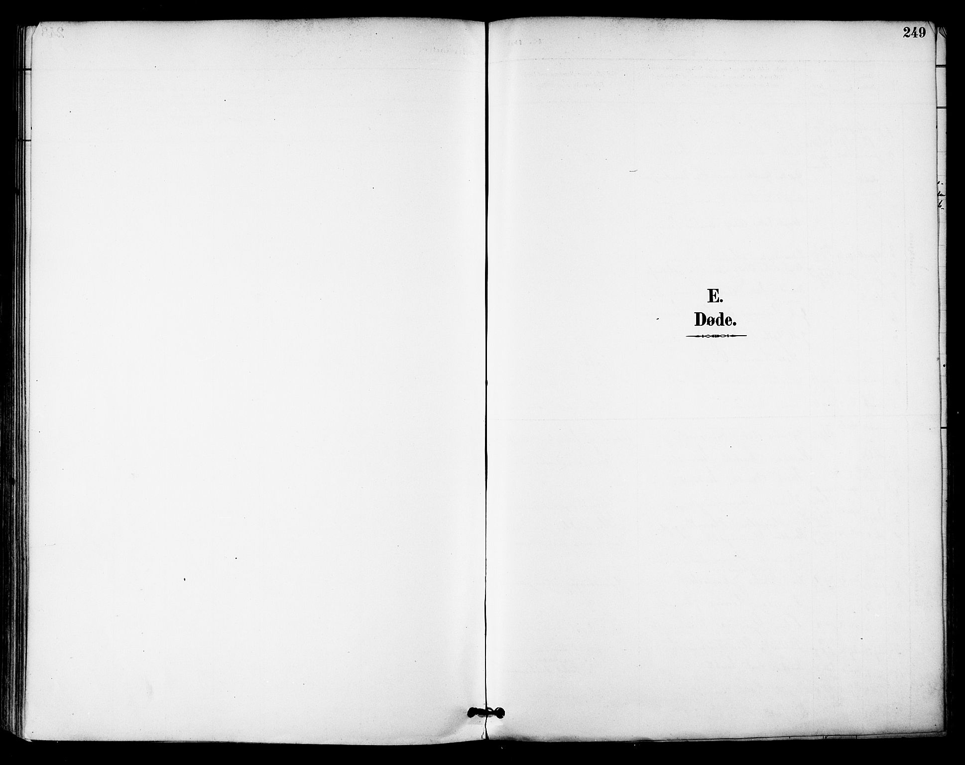Ministerialprotokoller, klokkerbøker og fødselsregistre - Nordland, AV/SAT-A-1459/855/L0803: Ministerialbok nr. 855A11, 1887-1905, s. 249