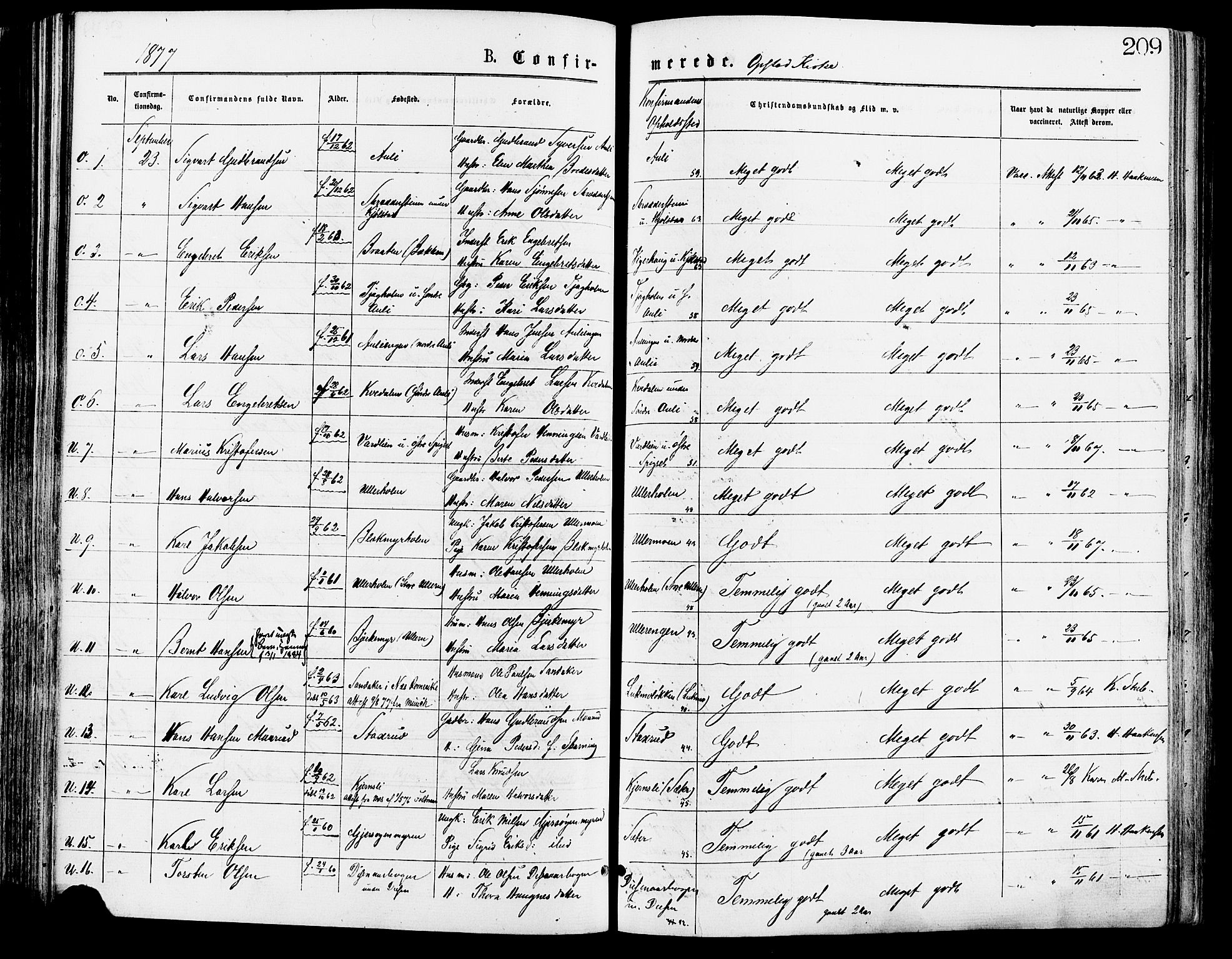 Sør-Odal prestekontor, AV/SAH-PREST-030/H/Ha/Haa/L0005: Ministerialbok nr. 5, 1876-1885, s. 209