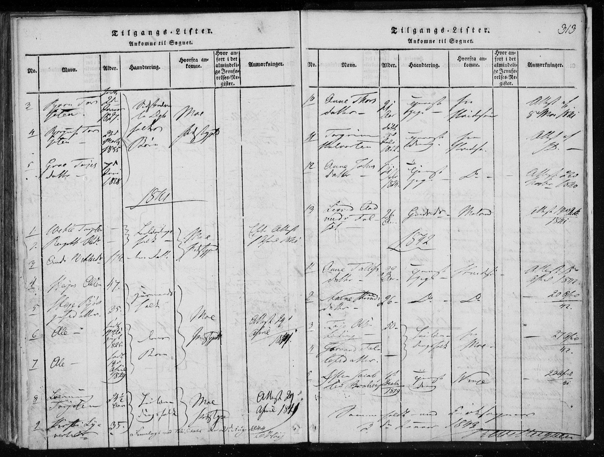 Lårdal kirkebøker, AV/SAKO-A-284/F/Fa/L0005: Ministerialbok nr. I 5, 1815-1860, s. 313
