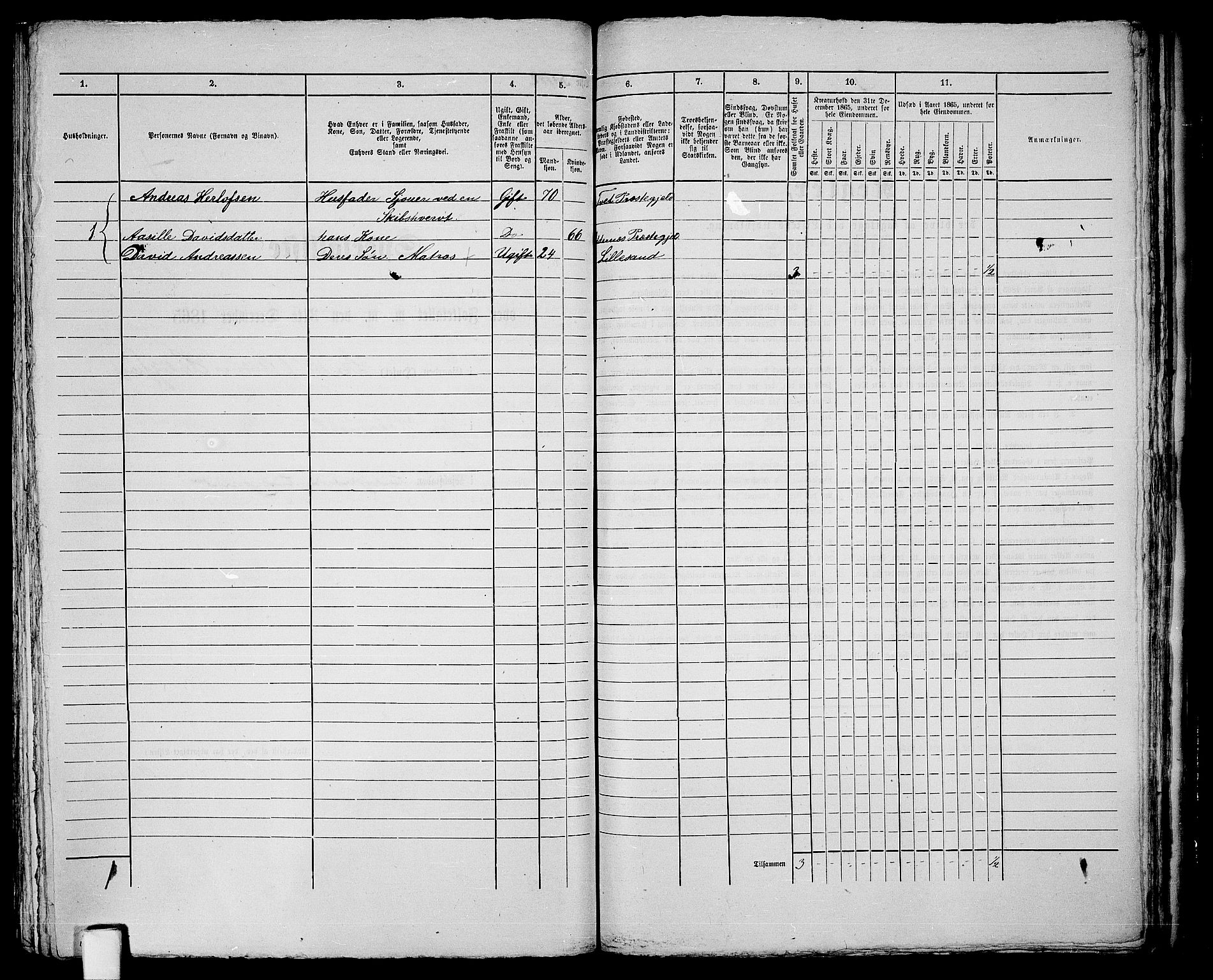 RA, Folketelling 1865 for 0905B Vestre Moland prestegjeld, Lillesand ladested, 1865, s. 294