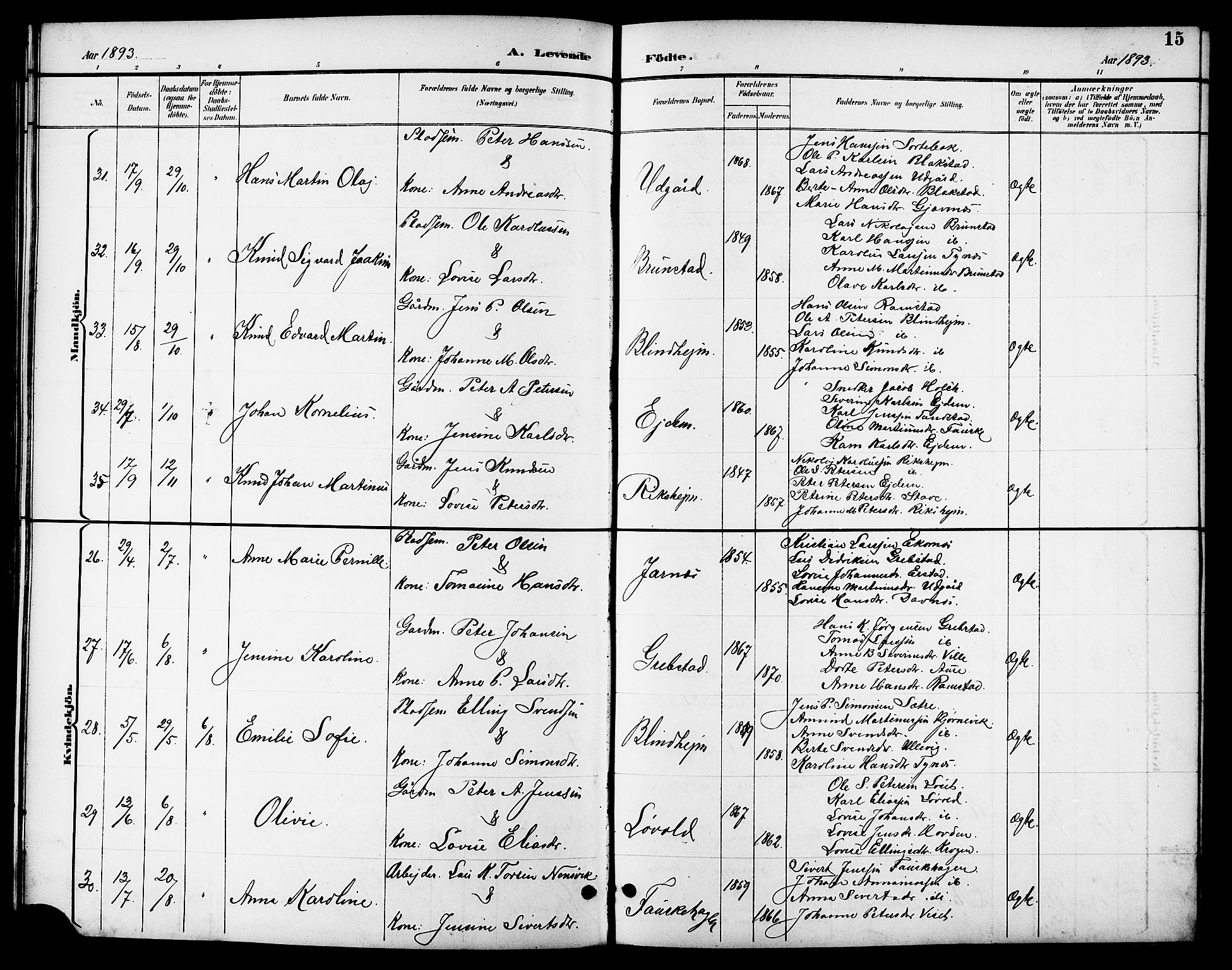 Ministerialprotokoller, klokkerbøker og fødselsregistre - Møre og Romsdal, AV/SAT-A-1454/523/L0340: Klokkerbok nr. 523C03, 1892-1902, s. 15