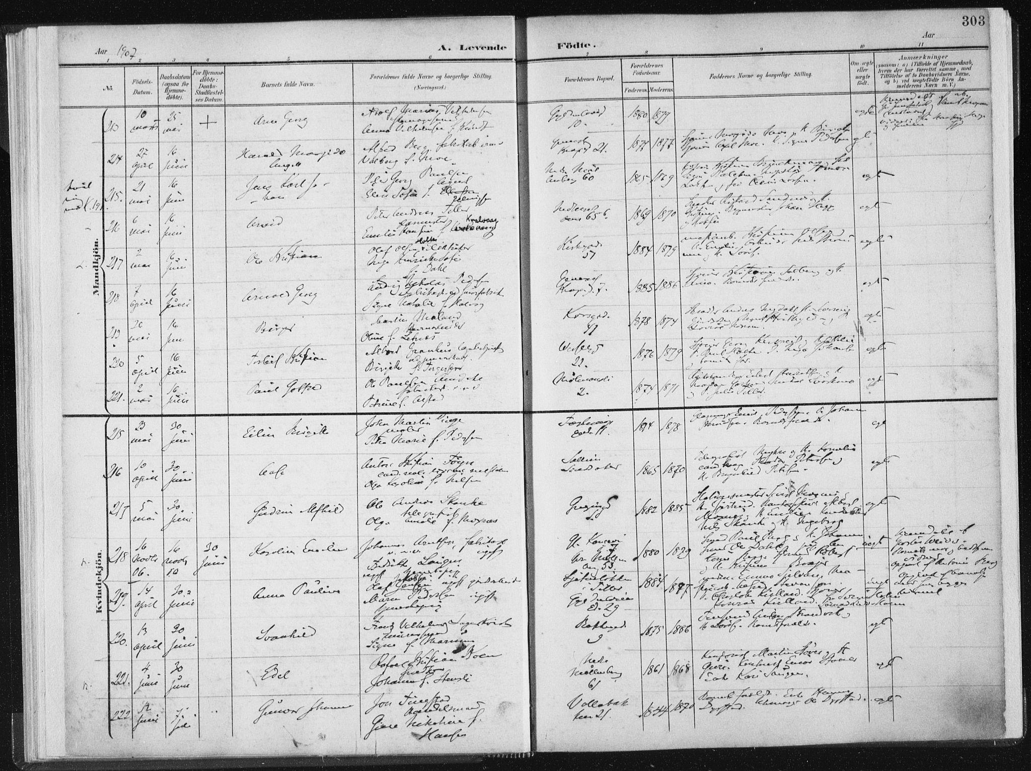 Ministerialprotokoller, klokkerbøker og fødselsregistre - Sør-Trøndelag, AV/SAT-A-1456/604/L0200: Ministerialbok nr. 604A20II, 1901-1908, s. 303