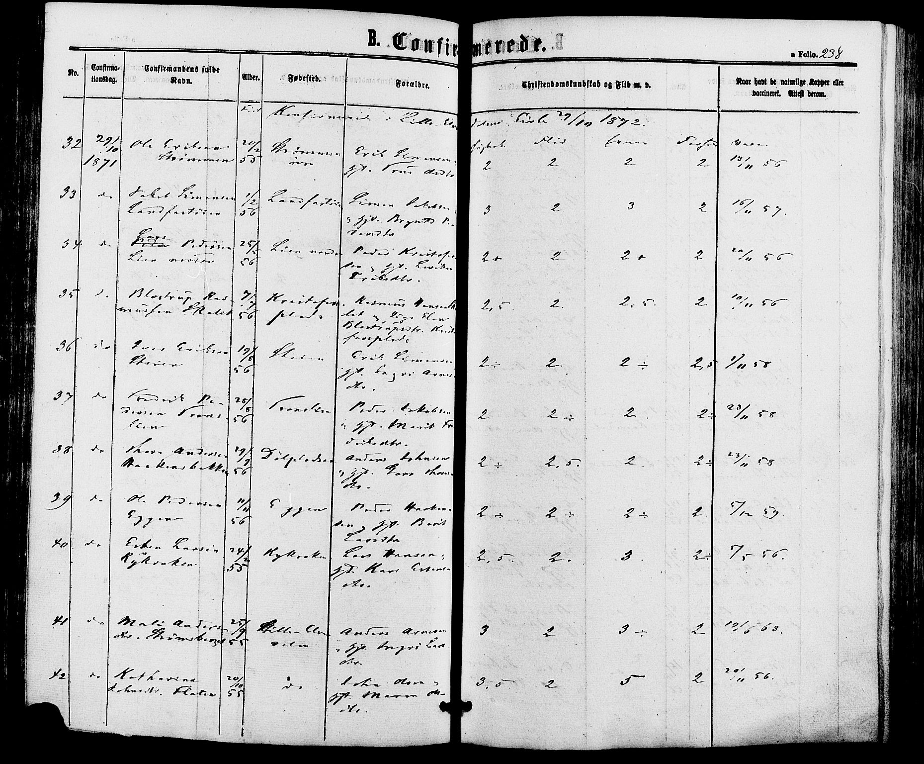 Alvdal prestekontor, AV/SAH-PREST-060/H/Ha/Haa/L0001: Ministerialbok nr. 1, 1863-1882, s. 238