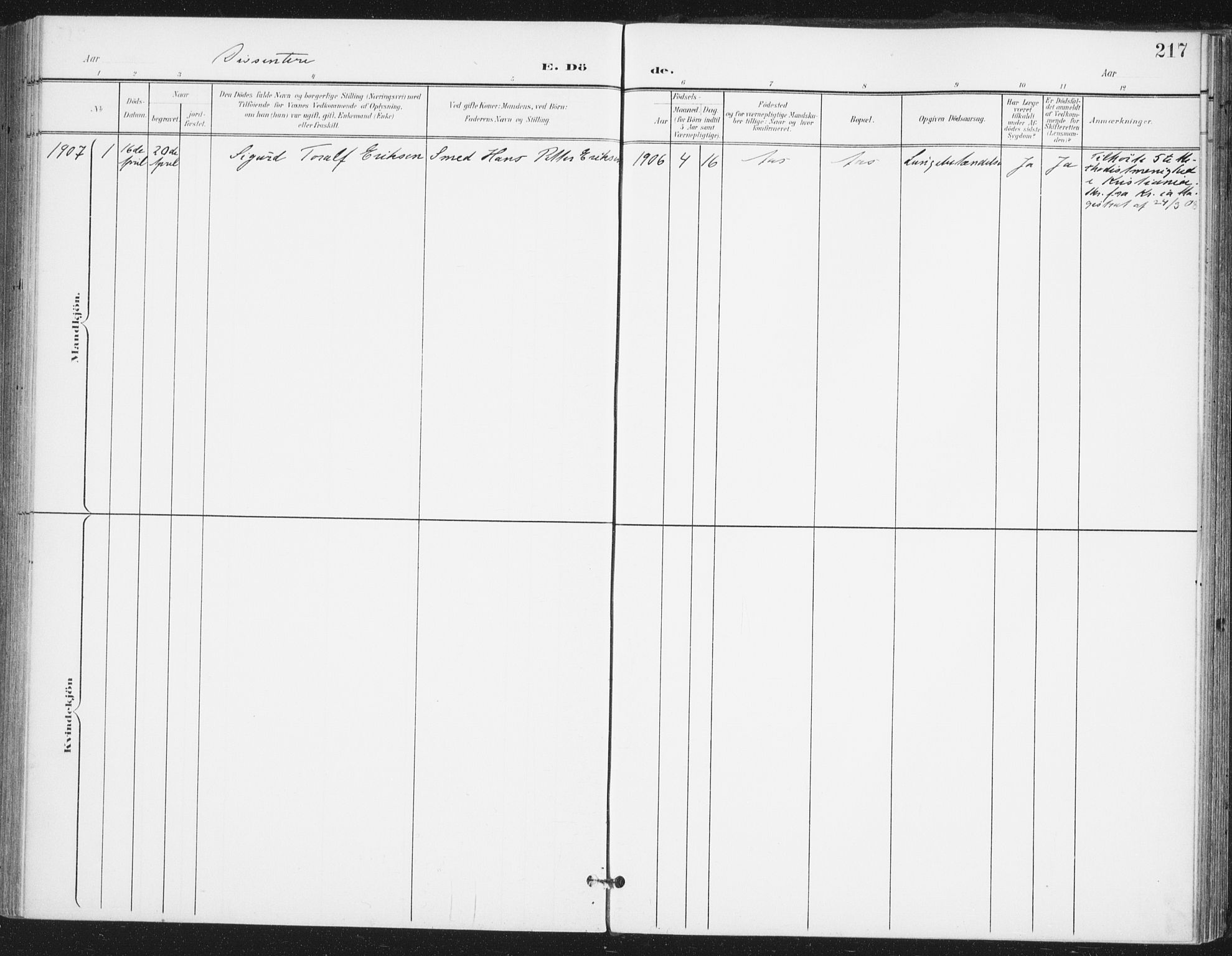 Ås prestekontor Kirkebøker, AV/SAO-A-10894/F/Fa/L0010: Ministerialbok nr. I 10, 1900-1918, s. 217