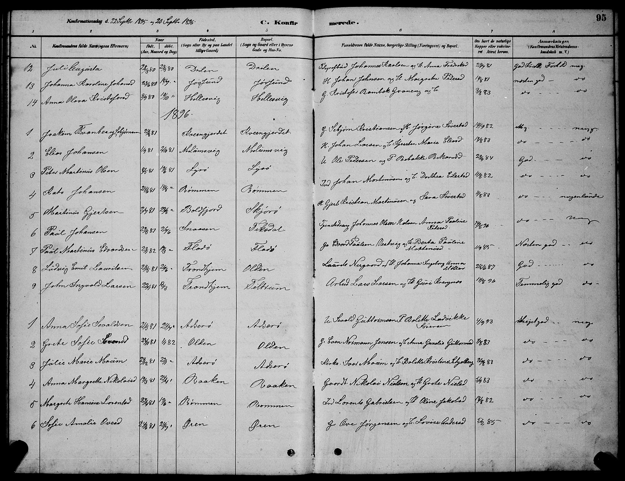 Ministerialprotokoller, klokkerbøker og fødselsregistre - Sør-Trøndelag, SAT/A-1456/654/L0665: Klokkerbok nr. 654C01, 1879-1901, s. 95