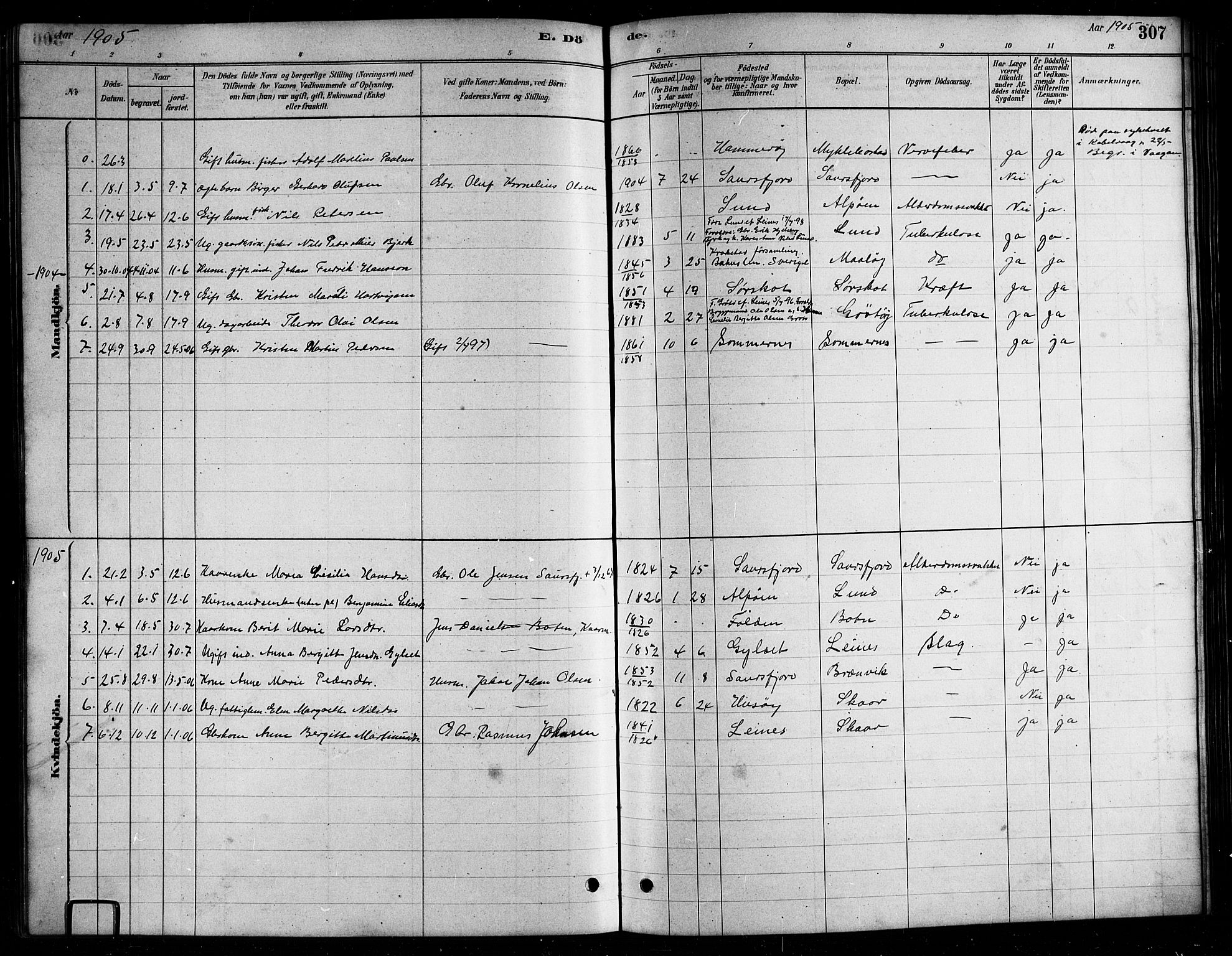 Ministerialprotokoller, klokkerbøker og fødselsregistre - Nordland, AV/SAT-A-1459/857/L0828: Klokkerbok nr. 857C03, 1879-1908, s. 307