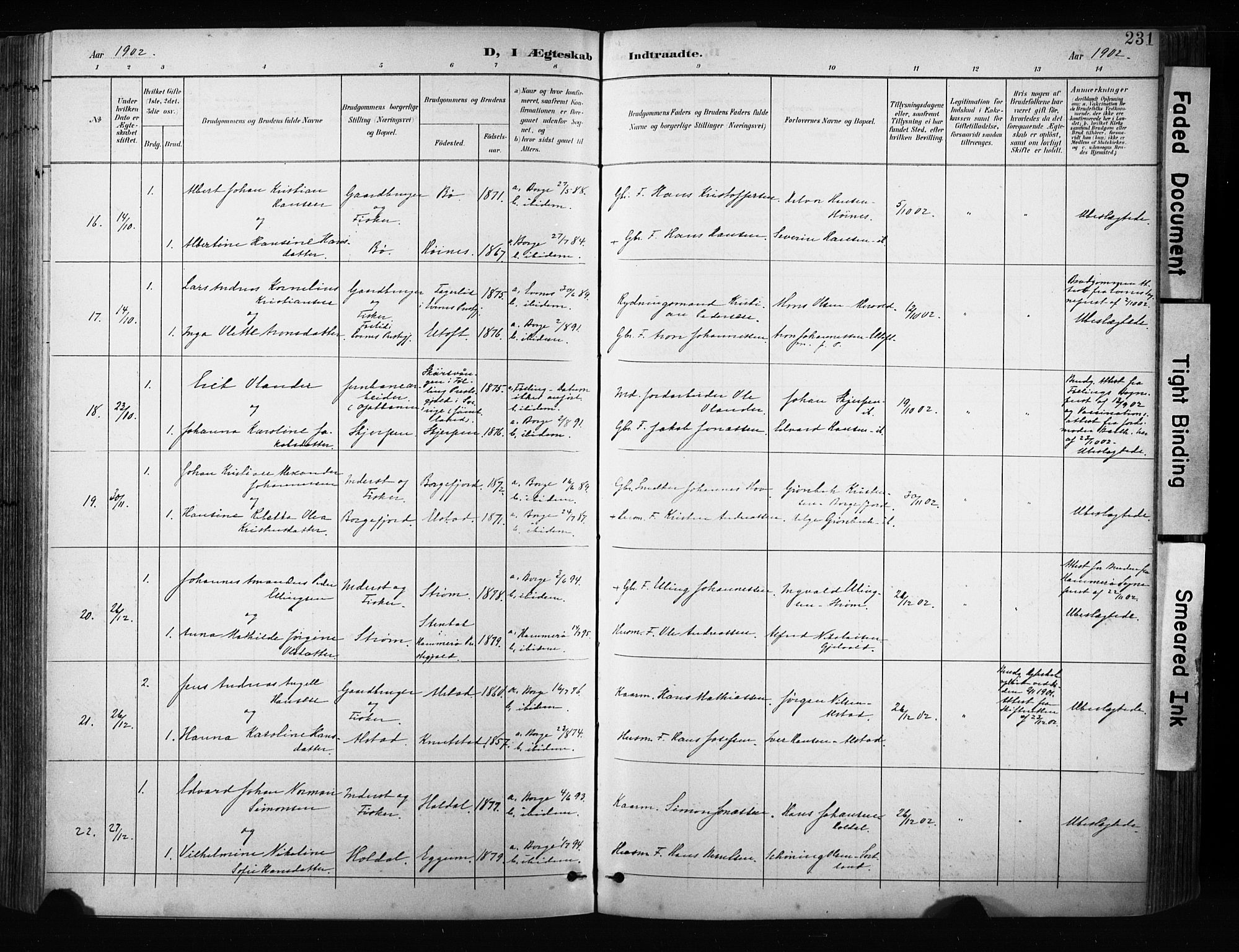 Ministerialprotokoller, klokkerbøker og fødselsregistre - Nordland, SAT/A-1459/880/L1134: Ministerialbok nr. 880A08, 1899-1908, s. 231