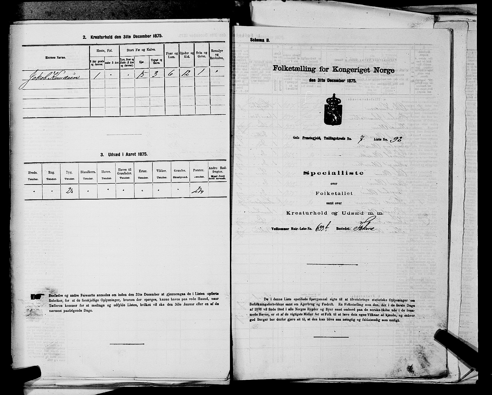 SAKO, Folketelling 1875 for 0617P Gol prestegjeld, 1875, s. 1258
