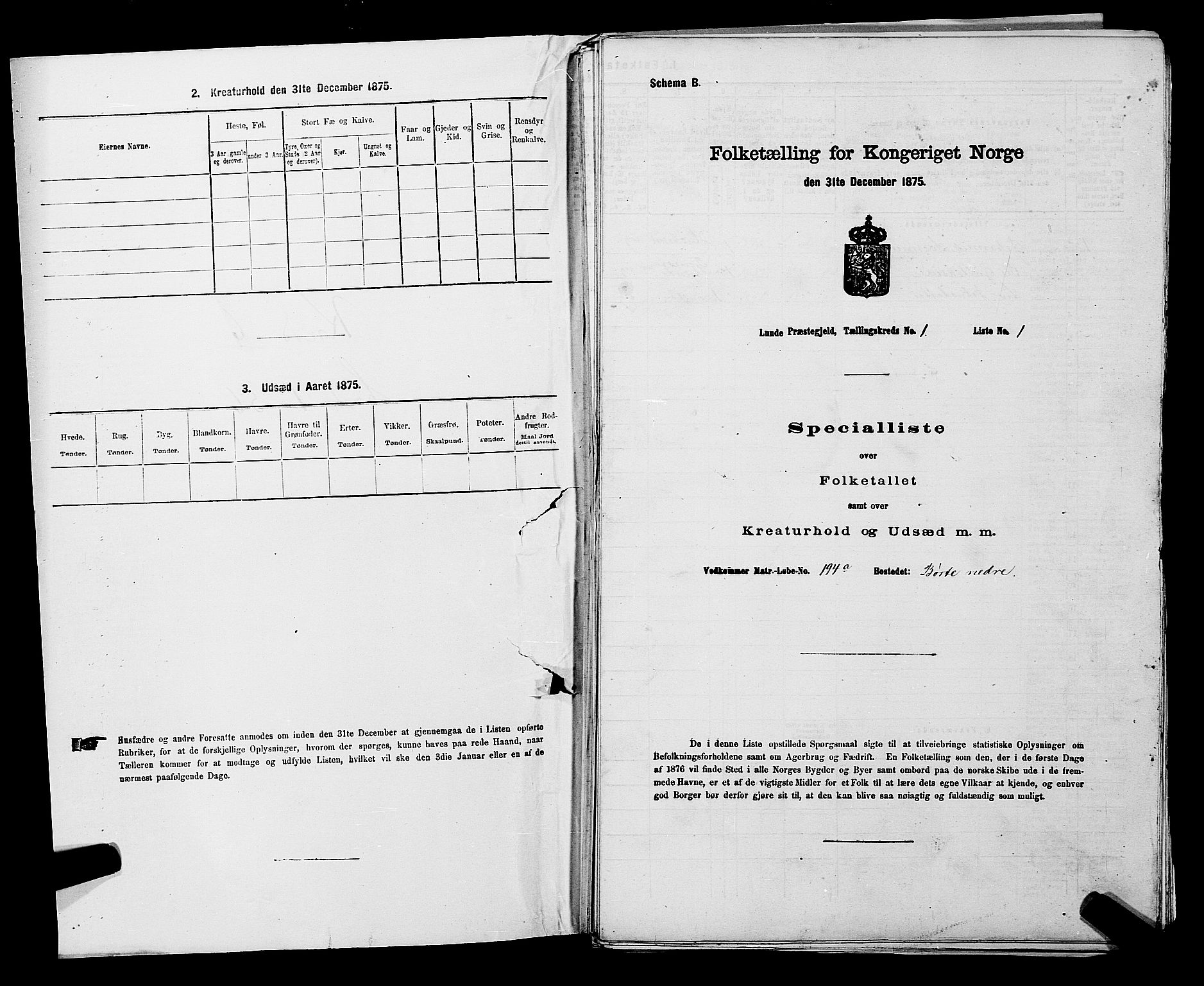 SAKO, Folketelling 1875 for 0820P Lunde prestegjeld, 1875, s. 38