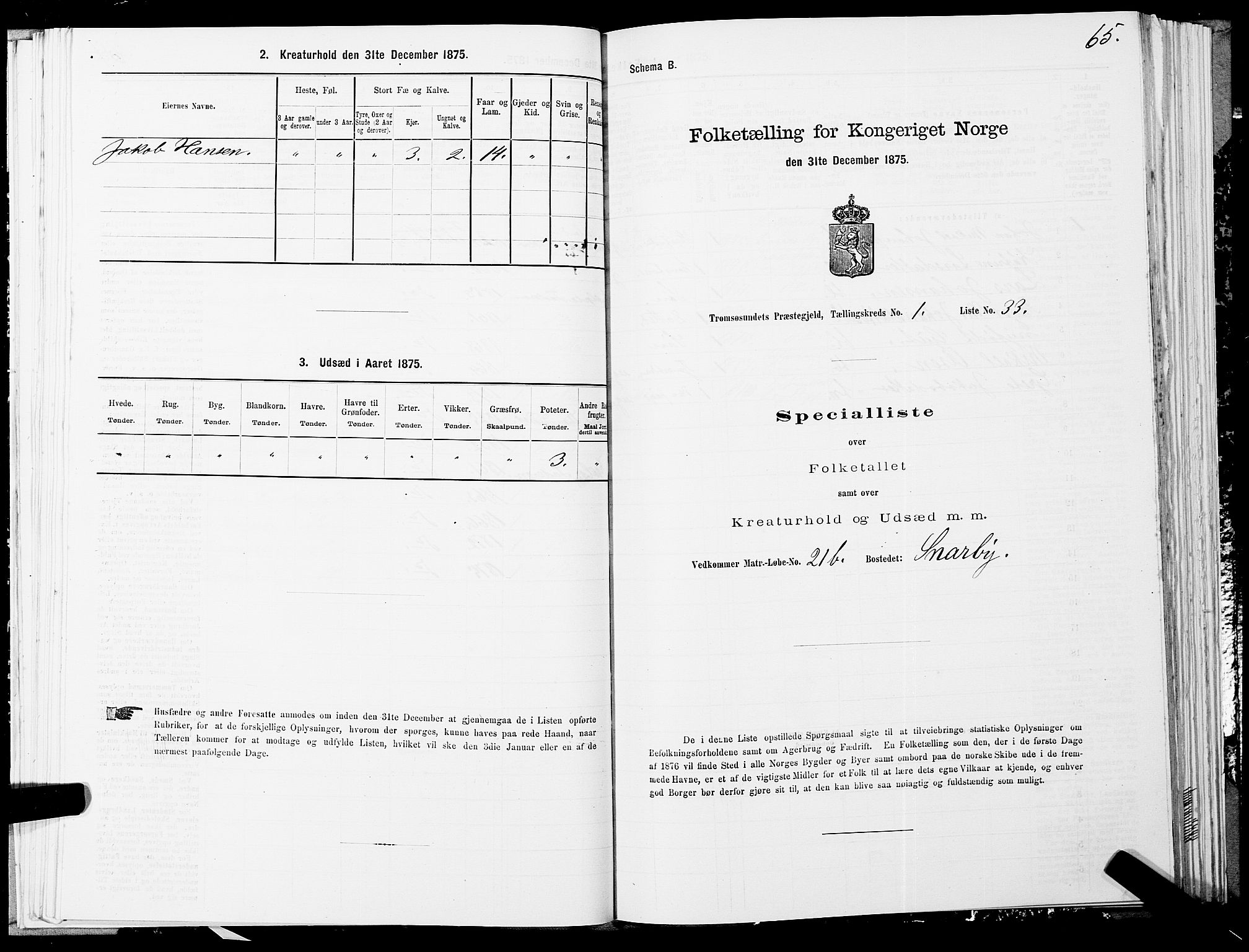 SATØ, Folketelling 1875 for 1934P Tromsøysund prestegjeld, 1875, s. 1065