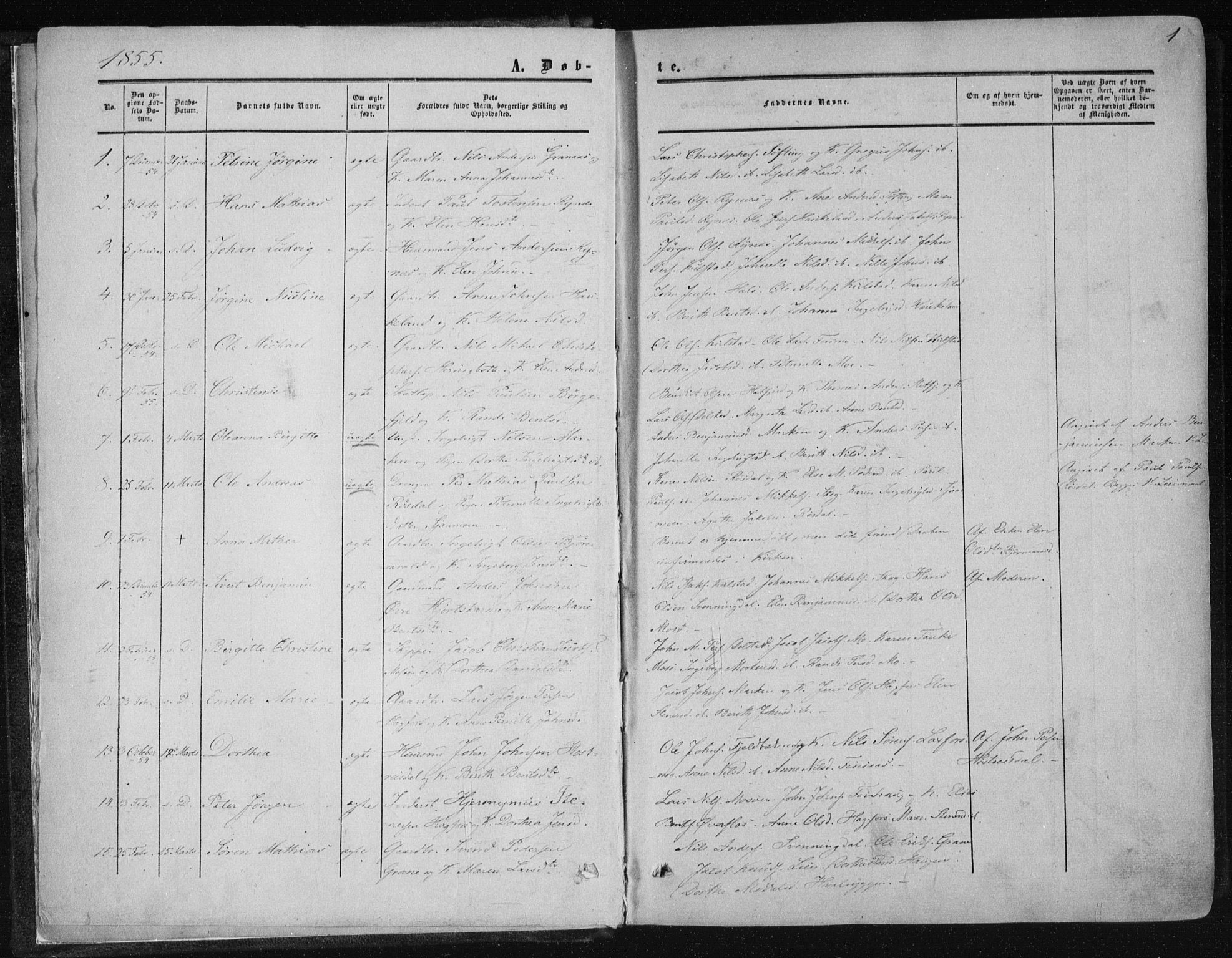 Ministerialprotokoller, klokkerbøker og fødselsregistre - Nordland, AV/SAT-A-1459/820/L0293: Ministerialbok nr. 820A14, 1855-1865, s. 1