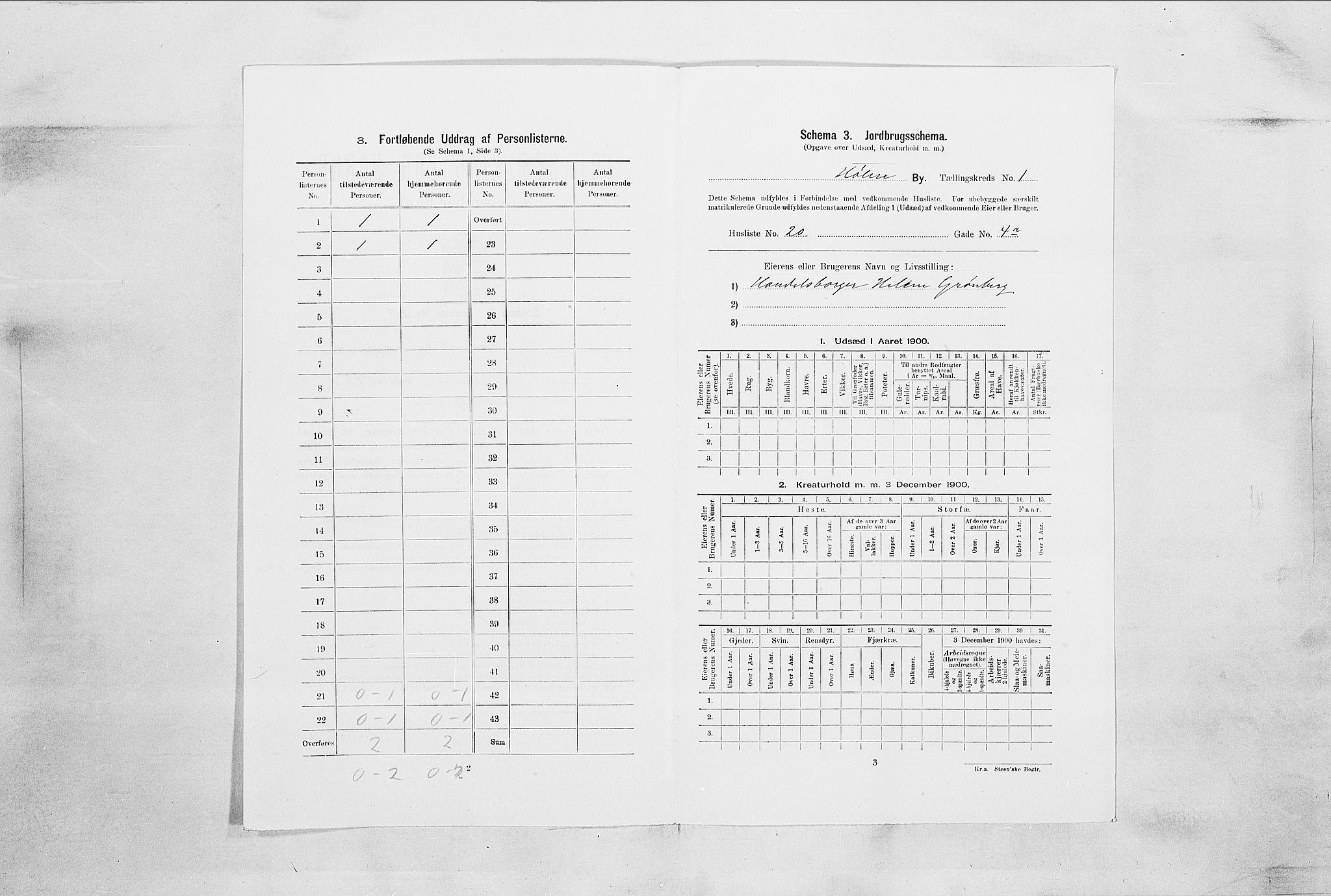 SAO, Folketelling 1900 for 0204 Hølen ladested, 1900