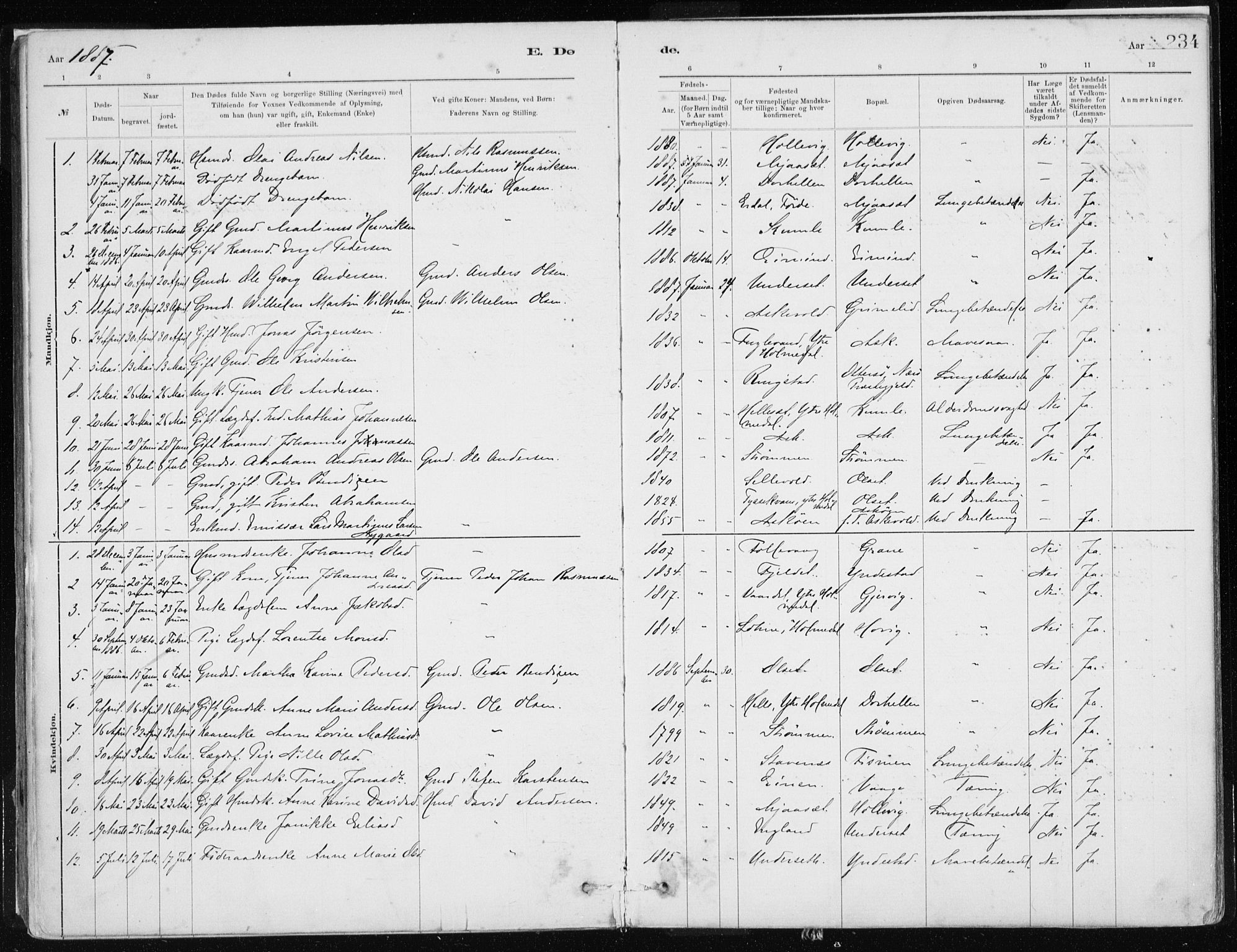 Askvoll sokneprestembete, AV/SAB-A-79501/H/Haa/Haab/L0002: Ministerialbok nr. B 2, 1879-1909, s. 234