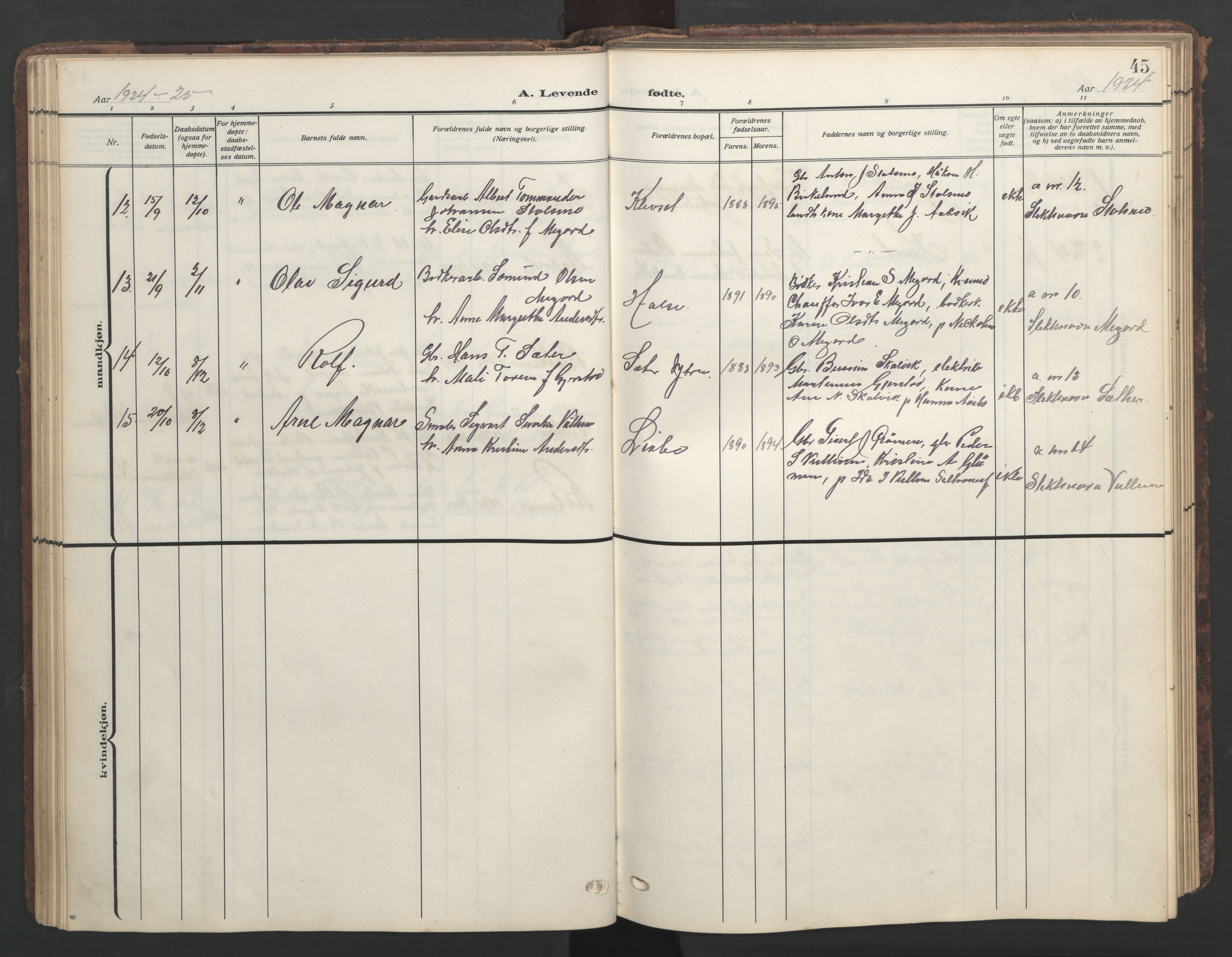 Ministerialprotokoller, klokkerbøker og fødselsregistre - Møre og Romsdal, AV/SAT-A-1454/576/L0891: Klokkerbok nr. 576C02, 1909-1946, s. 45