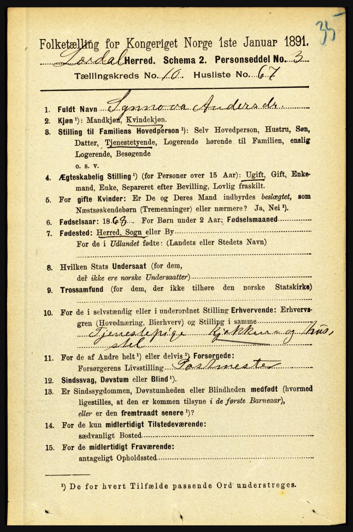 RA, Folketelling 1891 for 1422 Lærdal herred, 1891, s. 2085
