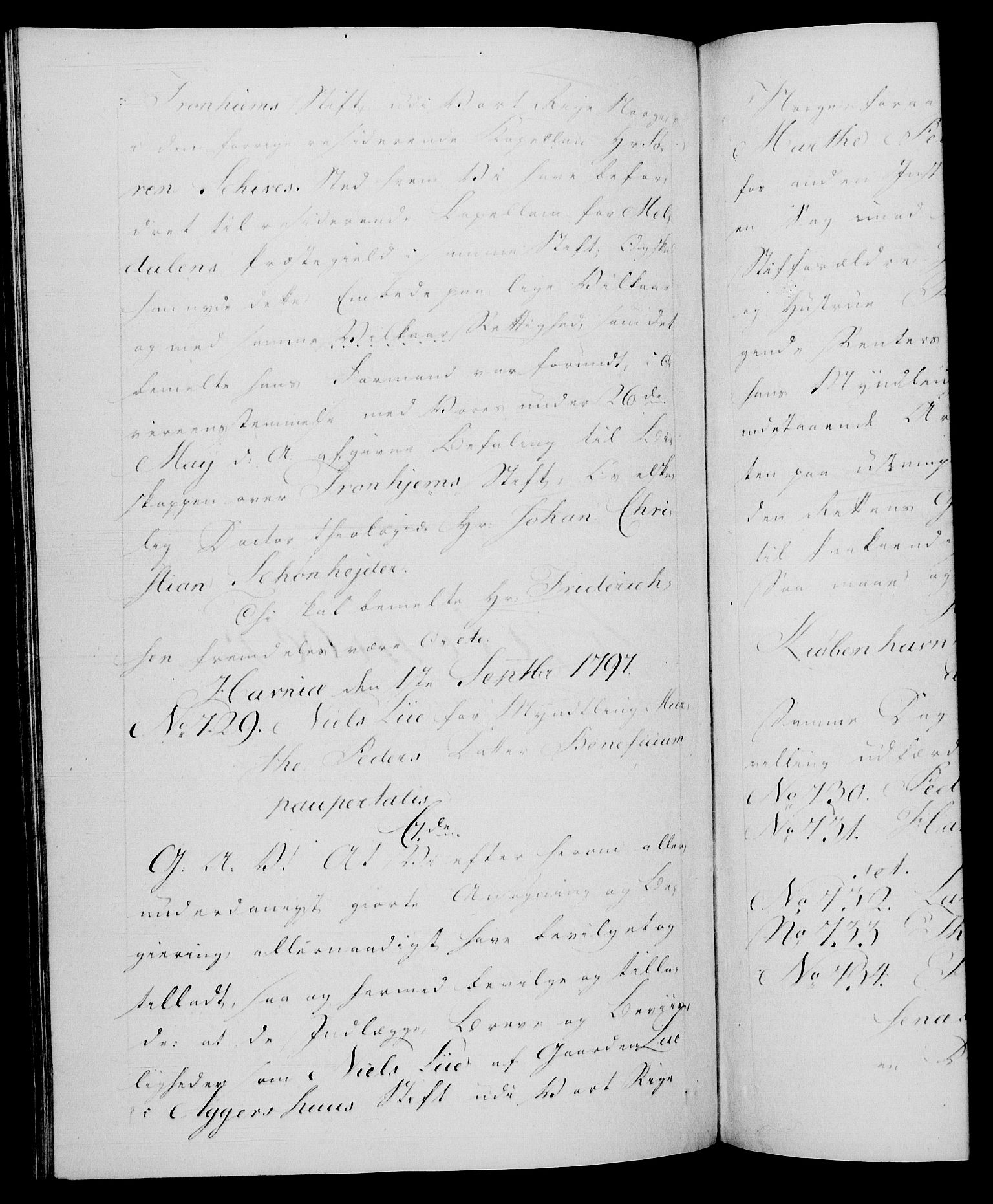Danske Kanselli 1572-1799, RA/EA-3023/F/Fc/Fca/Fcaa/L0057: Norske registre, 1797, s. 393b