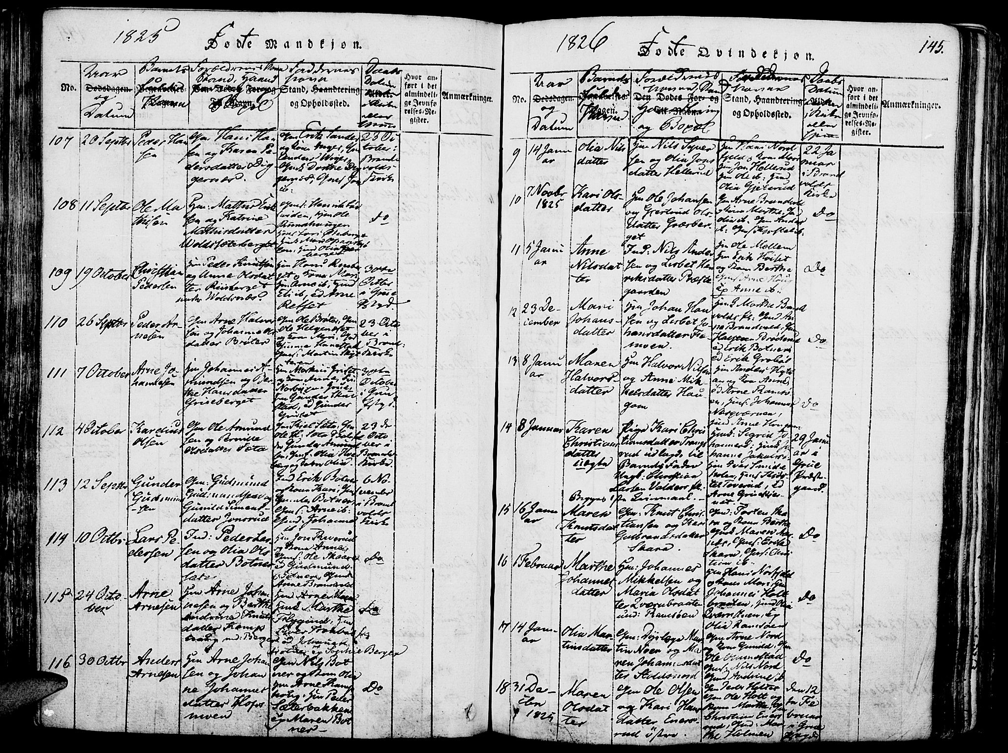 Grue prestekontor, AV/SAH-PREST-036/H/Ha/Haa/L0006: Ministerialbok nr. 6, 1814-1830, s. 145
