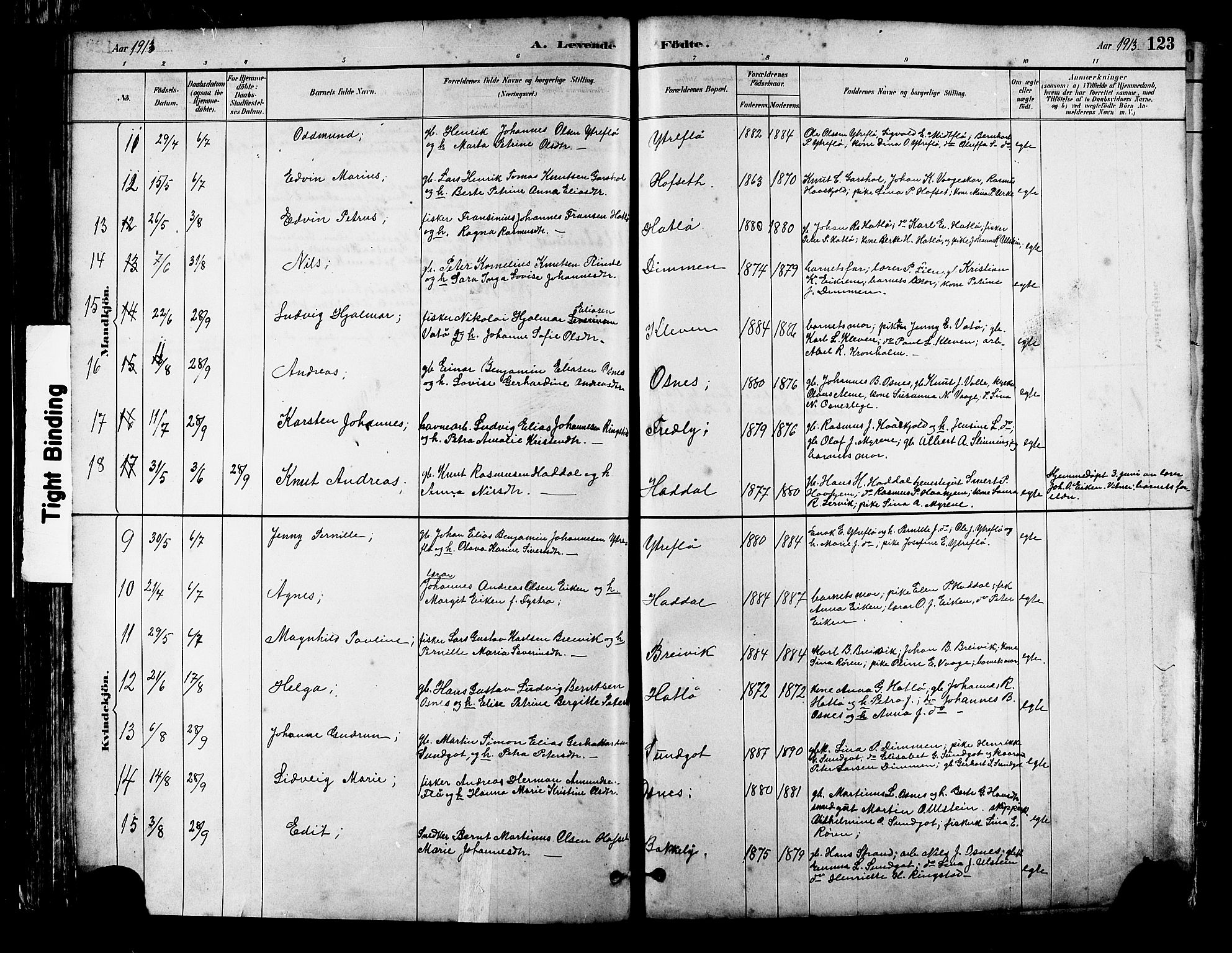 Ministerialprotokoller, klokkerbøker og fødselsregistre - Møre og Romsdal, AV/SAT-A-1454/509/L0112: Klokkerbok nr. 509C02, 1883-1922, s. 123