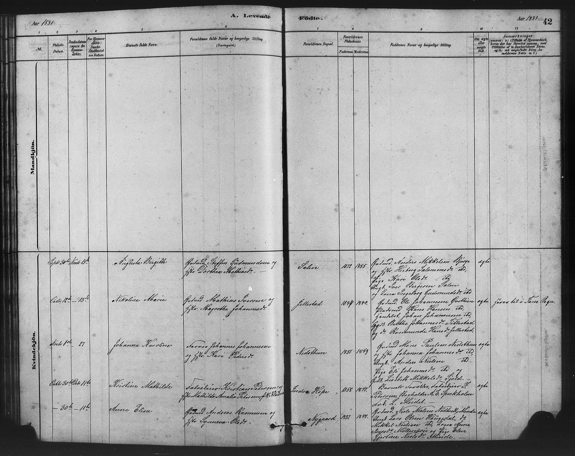 Birkeland Sokneprestembete, AV/SAB-A-74601/H/Hab: Klokkerbok nr. A 3, 1877-1887, s. 42