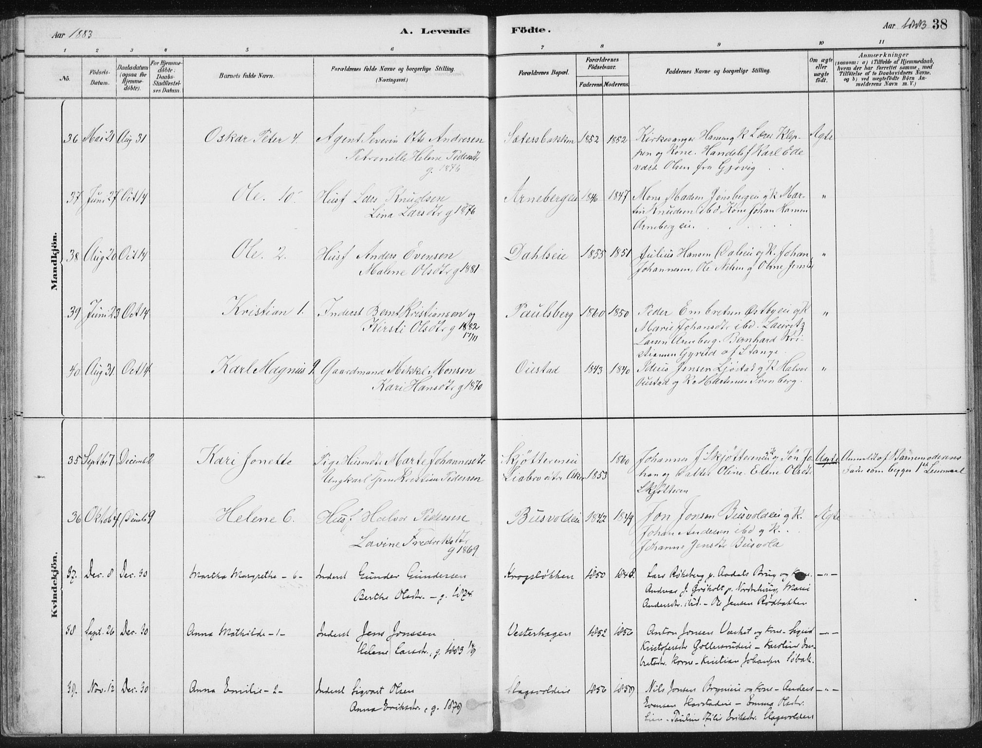 Romedal prestekontor, AV/SAH-PREST-004/K/L0010: Ministerialbok nr. 10, 1880-1895, s. 38
