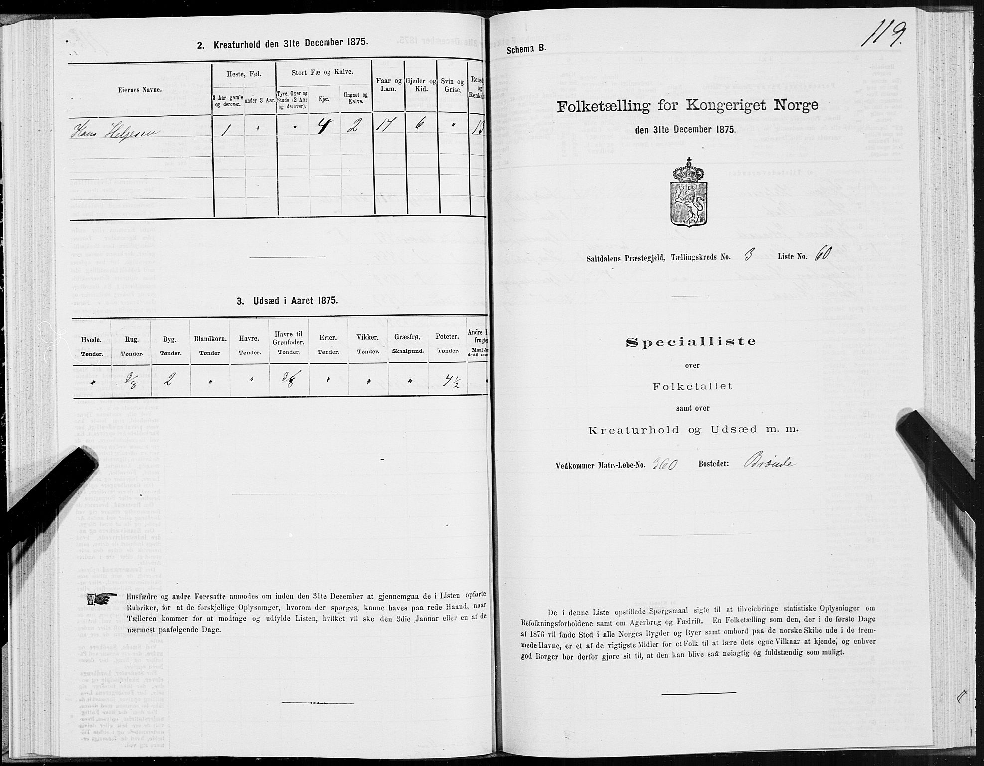 SAT, Folketelling 1875 for 1840P Saltdal prestegjeld, 1875, s. 2119