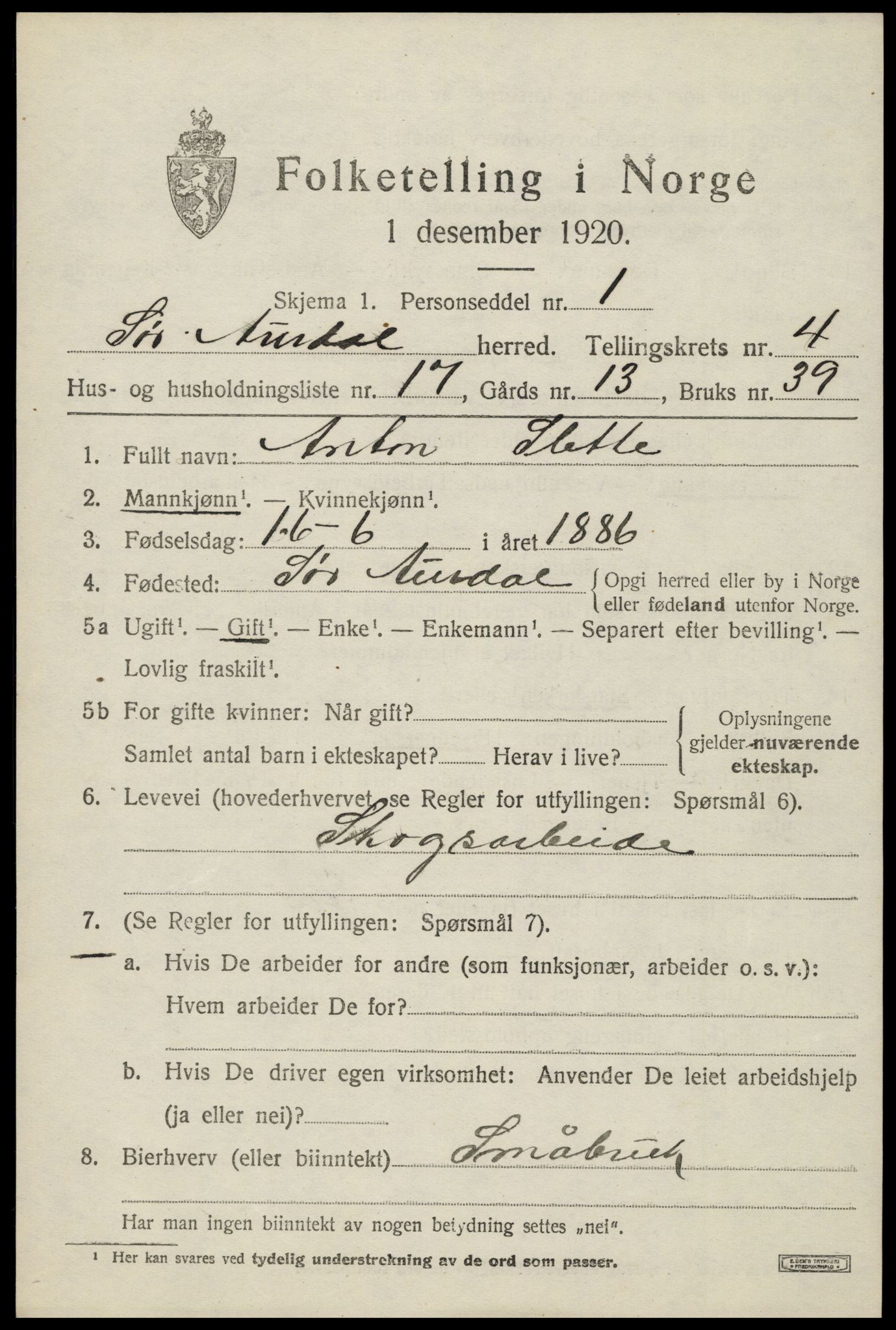 SAH, Folketelling 1920 for 0540 Sør-Aurdal herred, 1920, s. 2511