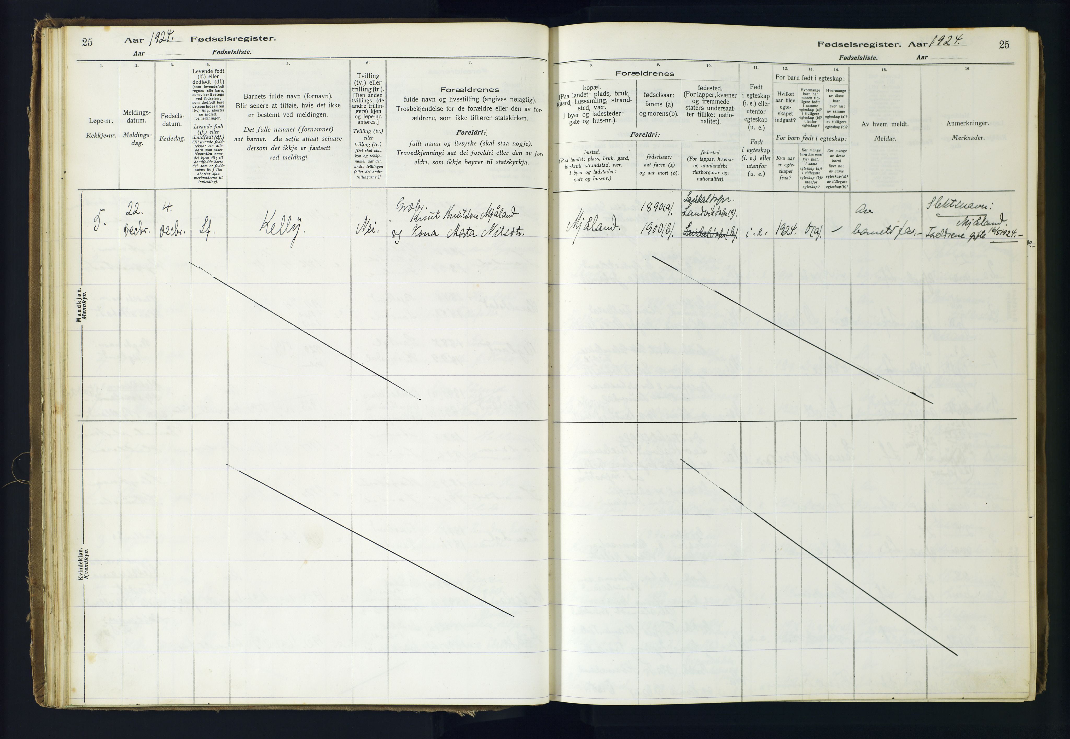 Holum sokneprestkontor, AV/SAK-1111-0022/J/Ja/L0001: Fødselsregister nr. II.6.10, 1916-1982, s. 25