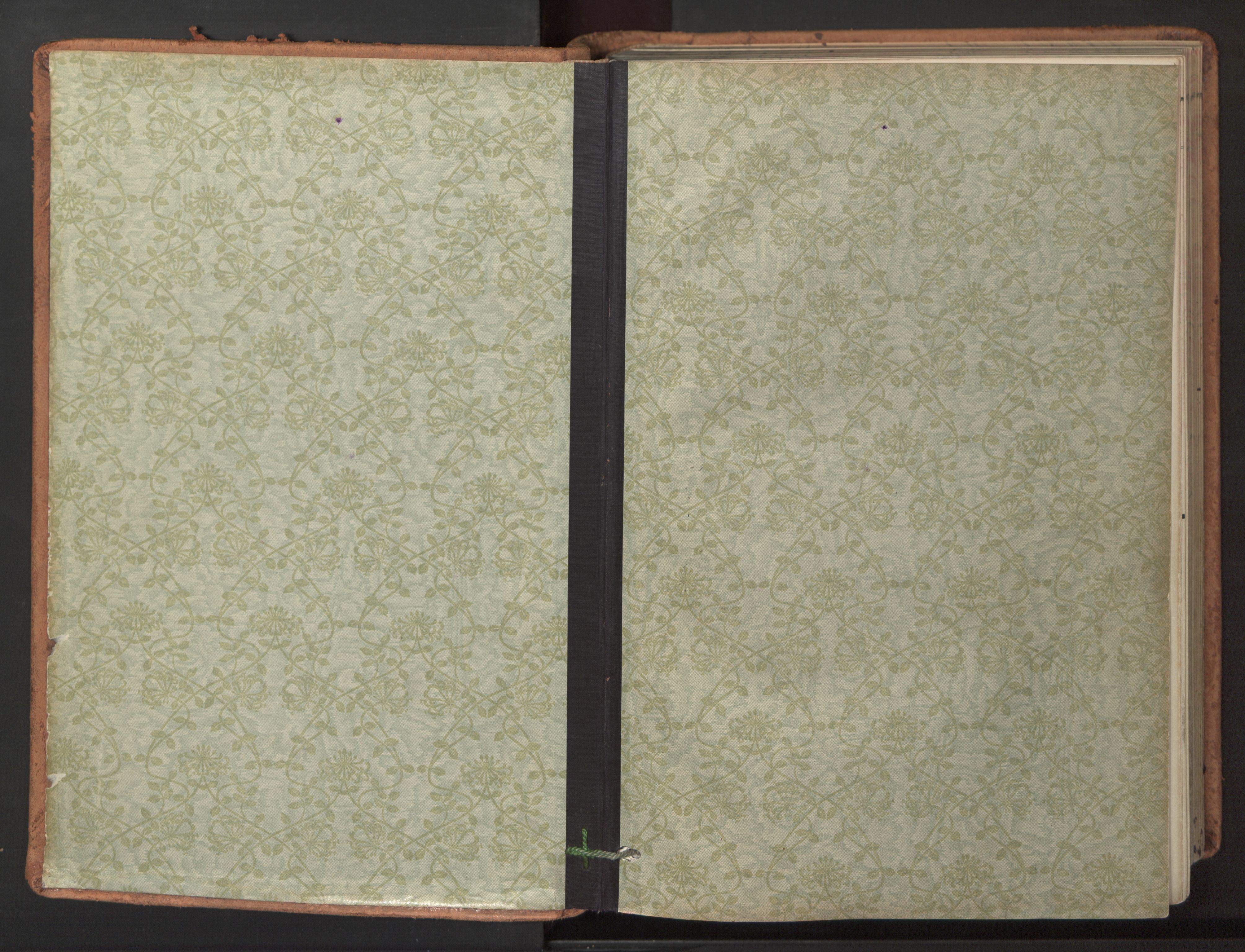 Ministerialprotokoller, klokkerbøker og fødselsregistre - Nordland, AV/SAT-A-1459/895/L1374: Ministerialbok nr. 895A09, 1915-1925