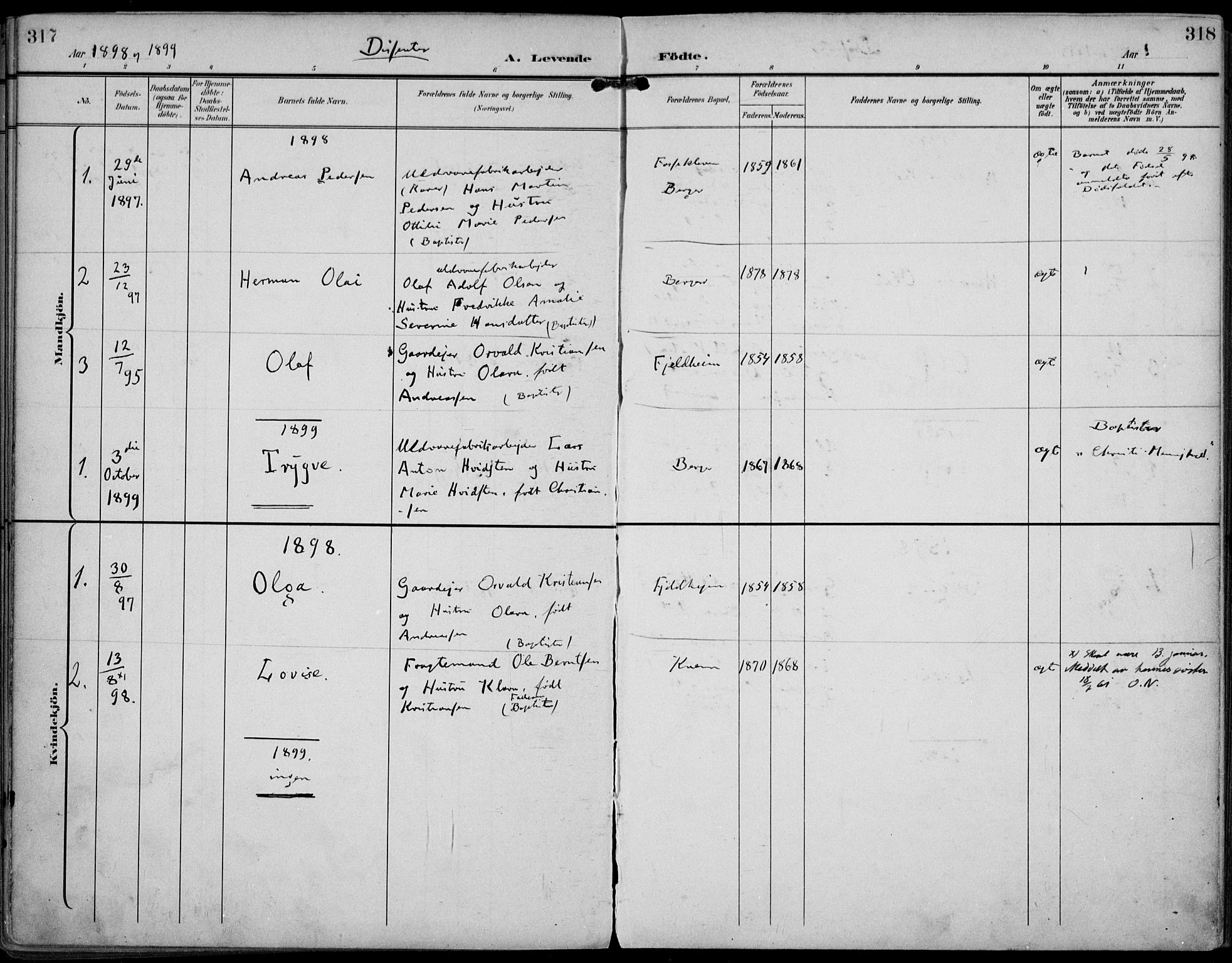Strømm kirkebøker, AV/SAKO-A-322/F/Fa/L0005: Ministerialbok nr. I 5, 1898-1919, s. 317-318