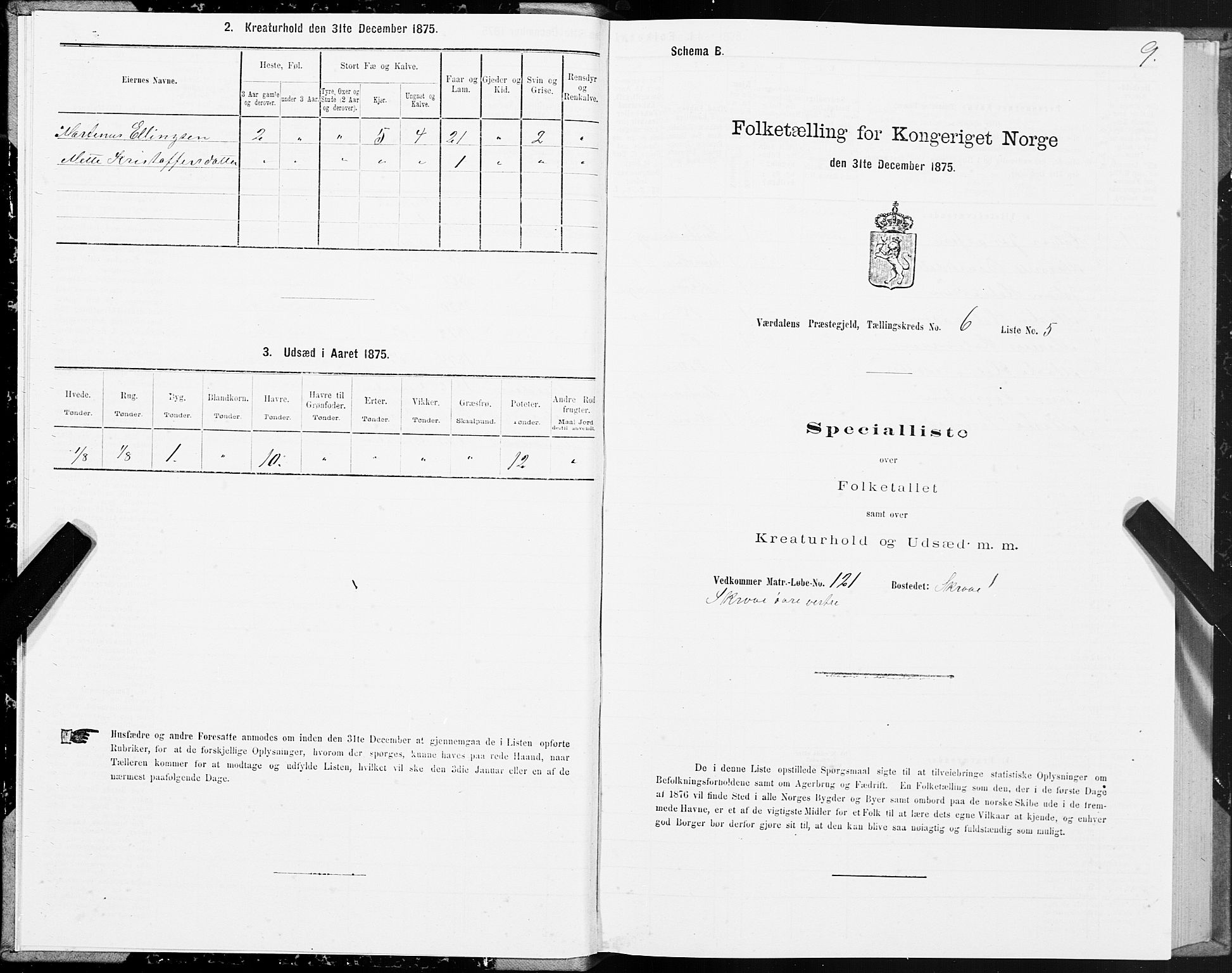 SAT, Folketelling 1875 for 1721P Verdal prestegjeld, 1875, s. 4009