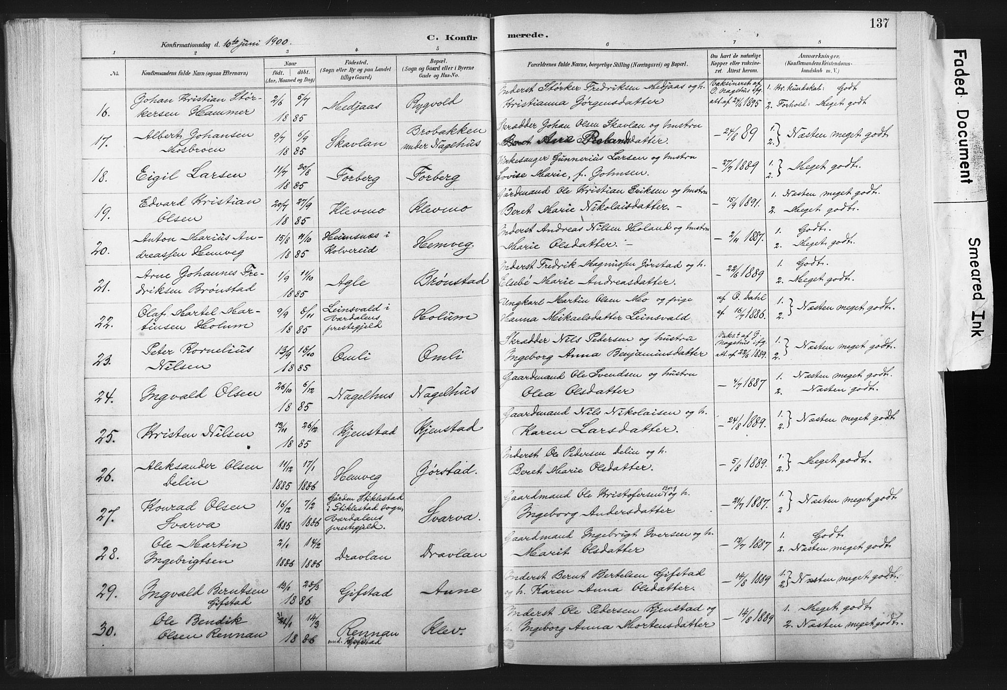 Ministerialprotokoller, klokkerbøker og fødselsregistre - Nord-Trøndelag, AV/SAT-A-1458/749/L0474: Ministerialbok nr. 749A08, 1887-1903, s. 137