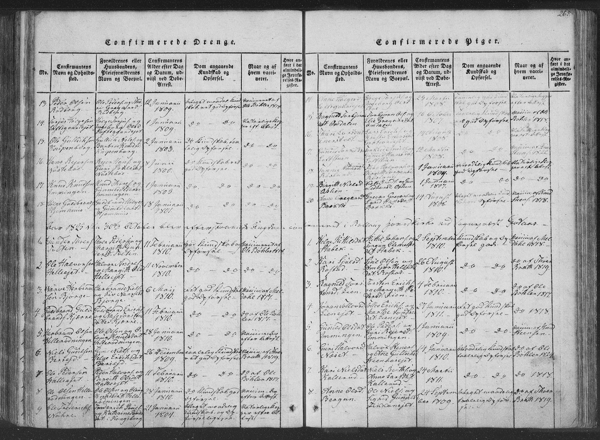 Rollag kirkebøker, AV/SAKO-A-240/F/Fa/L0006: Ministerialbok nr. I 6, 1814-1828, s. 263