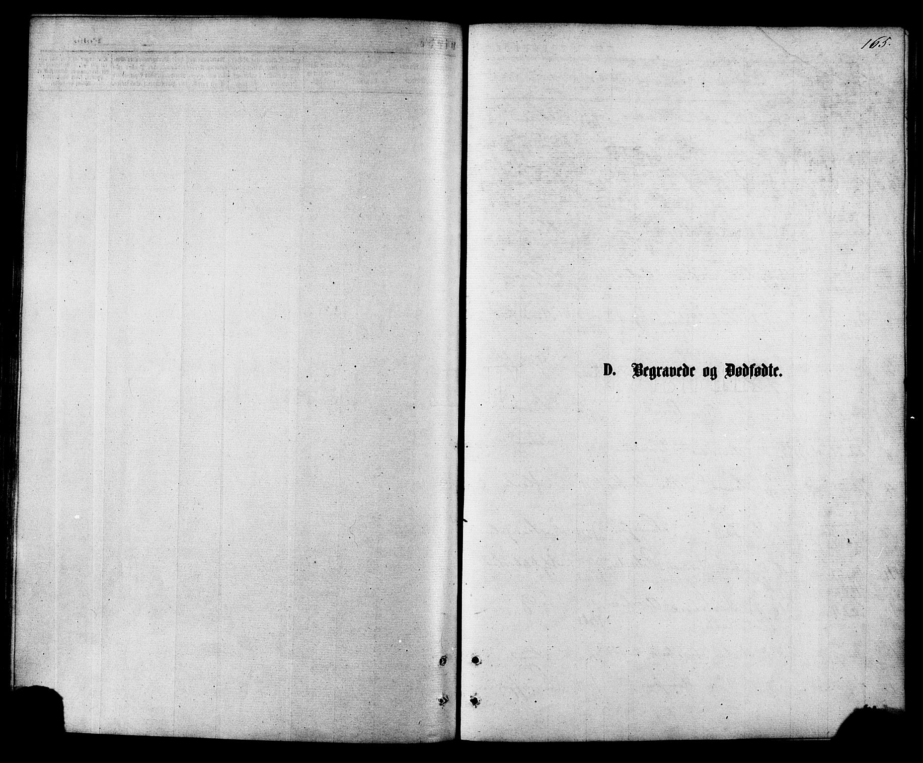 Ministerialprotokoller, klokkerbøker og fødselsregistre - Nordland, SAT/A-1459/857/L0821: Ministerialbok nr. 857A01, 1875-1889, s. 165