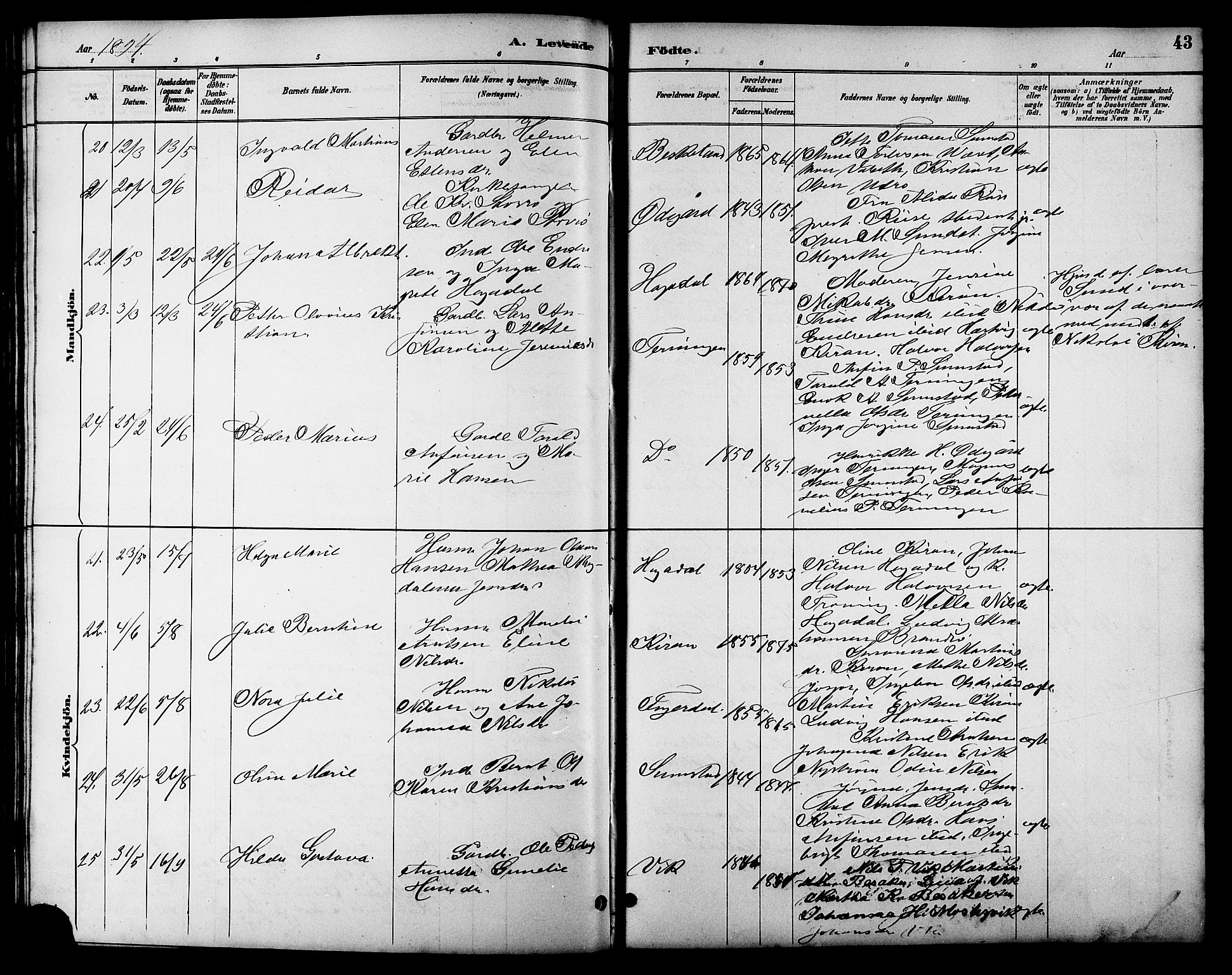 Ministerialprotokoller, klokkerbøker og fødselsregistre - Sør-Trøndelag, SAT/A-1456/657/L0716: Klokkerbok nr. 657C03, 1889-1904, s. 43