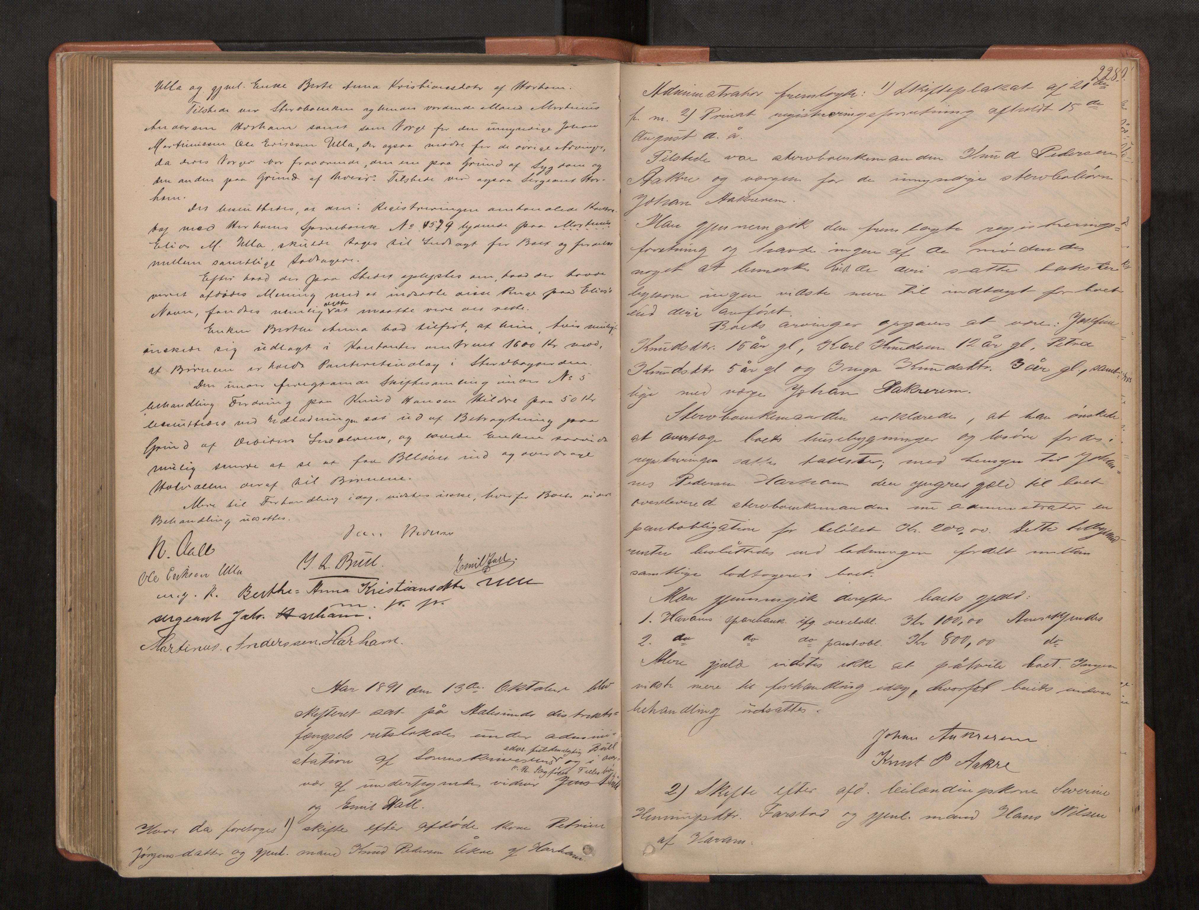 Nordre Sunnmøre sorenskriveri, AV/SAT-A-0006/1/3/3B/L0002: Skiftebehandlingsprotokoll 2, 1877-1892, s. 228