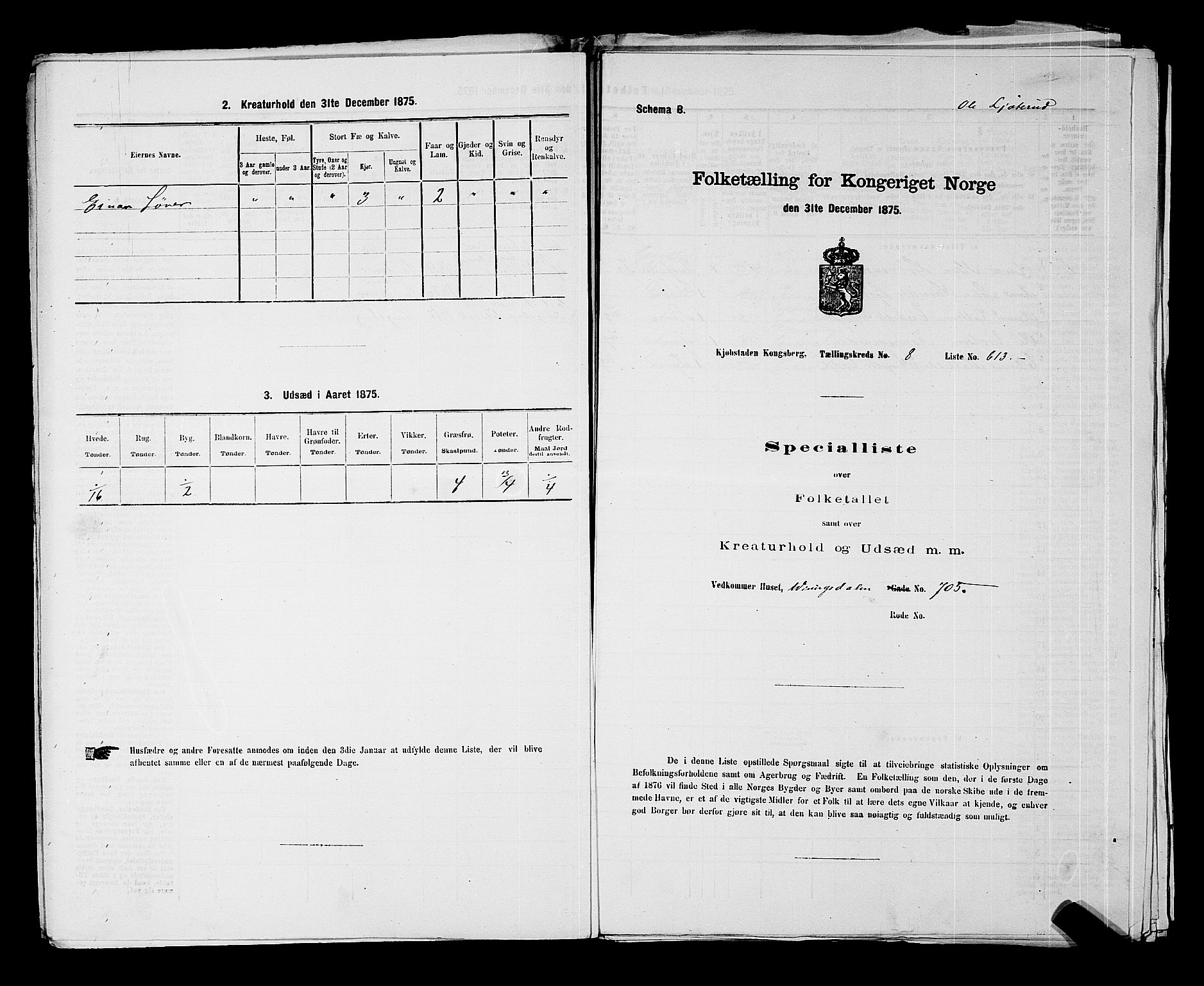 SAKO, Folketelling 1875 for 0604B Kongsberg prestegjeld, Kongsberg kjøpstad, 1875, s. 1353