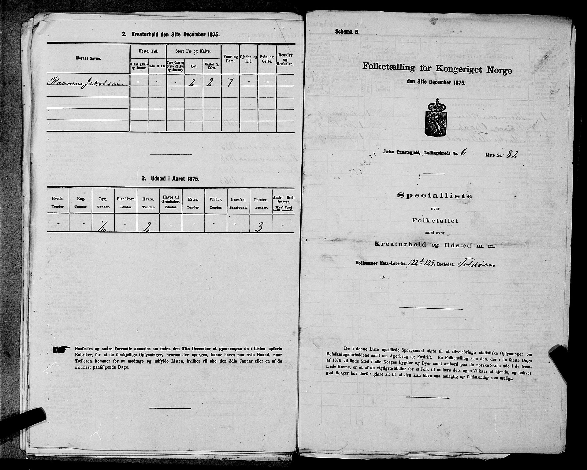 SAST, Folketelling 1875 for 1138P Jelsa prestegjeld, 1875, s. 579