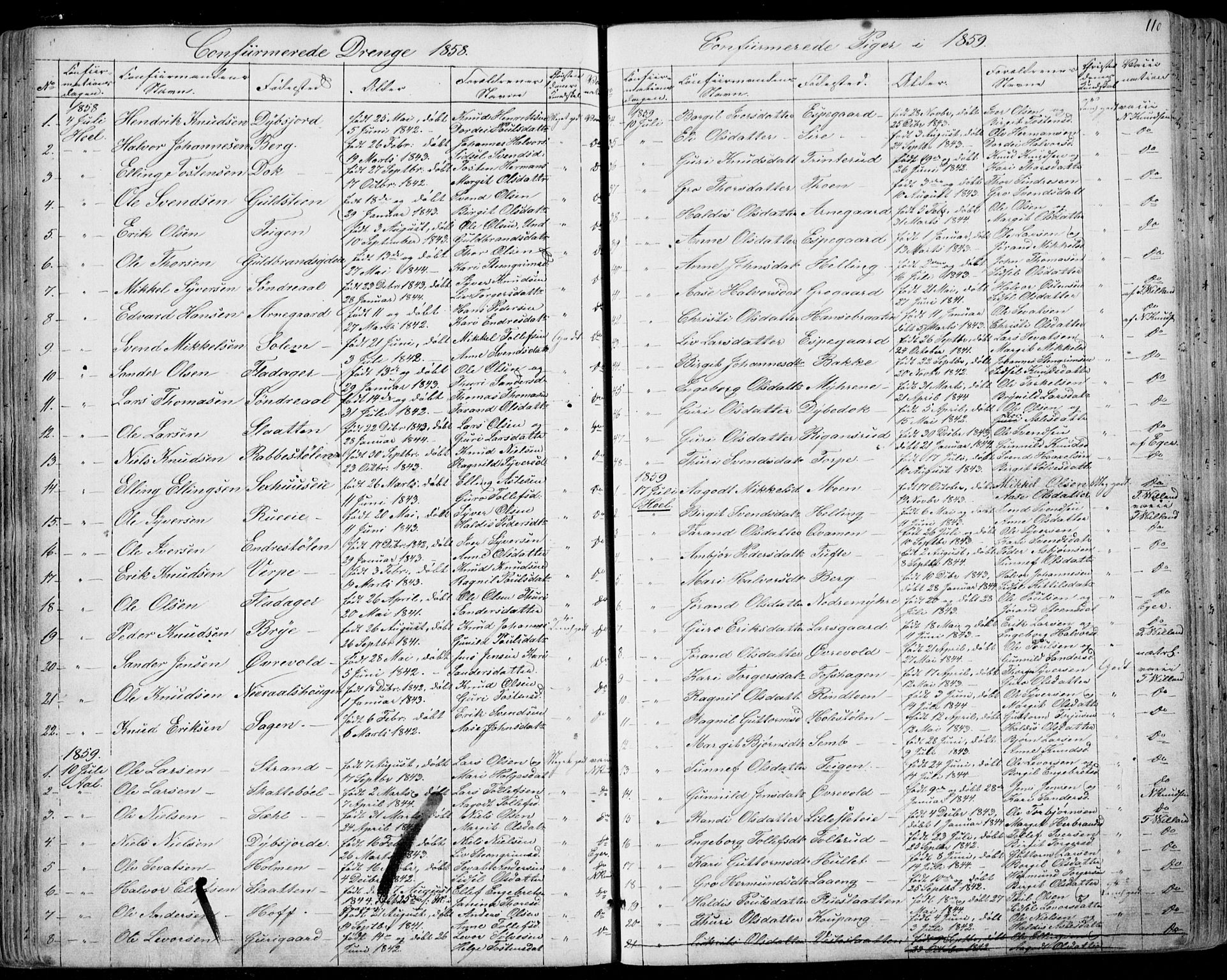 Ål kirkebøker, AV/SAKO-A-249/F/Fa/L0006: Ministerialbok nr. I 6, 1849-1864, s. 110