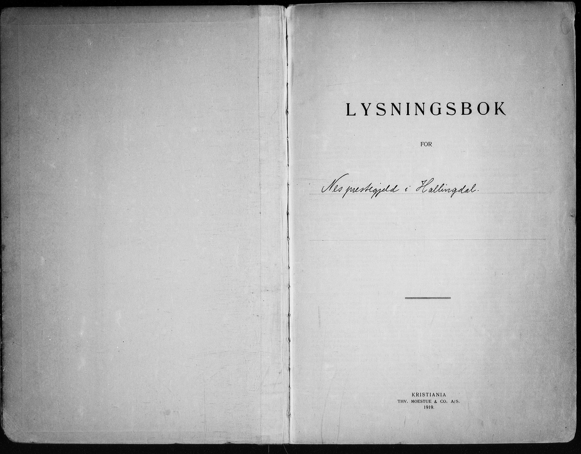 Nes kirkebøker, SAKO/A-236/H/Ha/L0001: Lysningsprotokoll nr. 1, 1919-1954