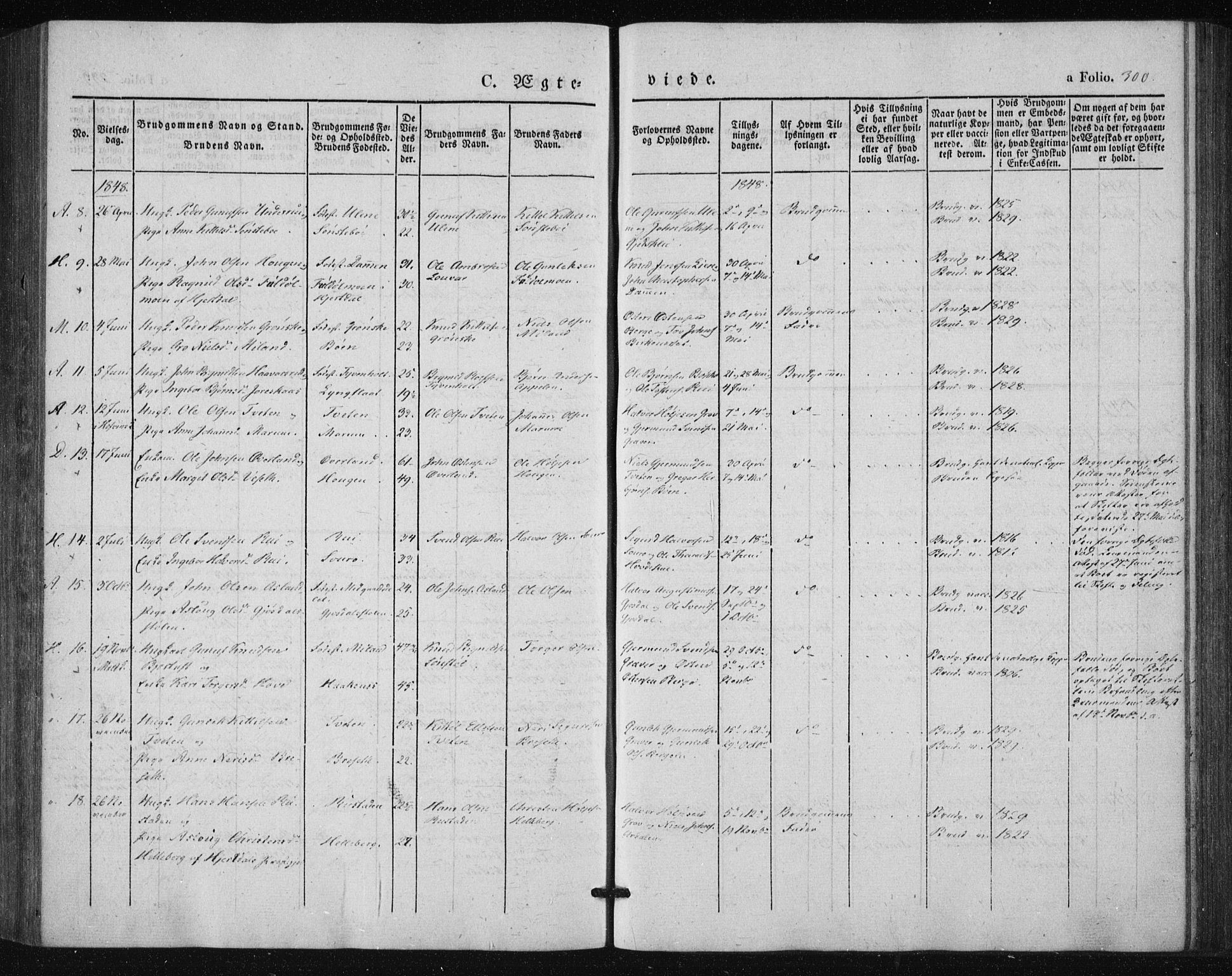 Tinn kirkebøker, AV/SAKO-A-308/F/Fa/L0005: Ministerialbok nr. I 5, 1844-1856, s. 300