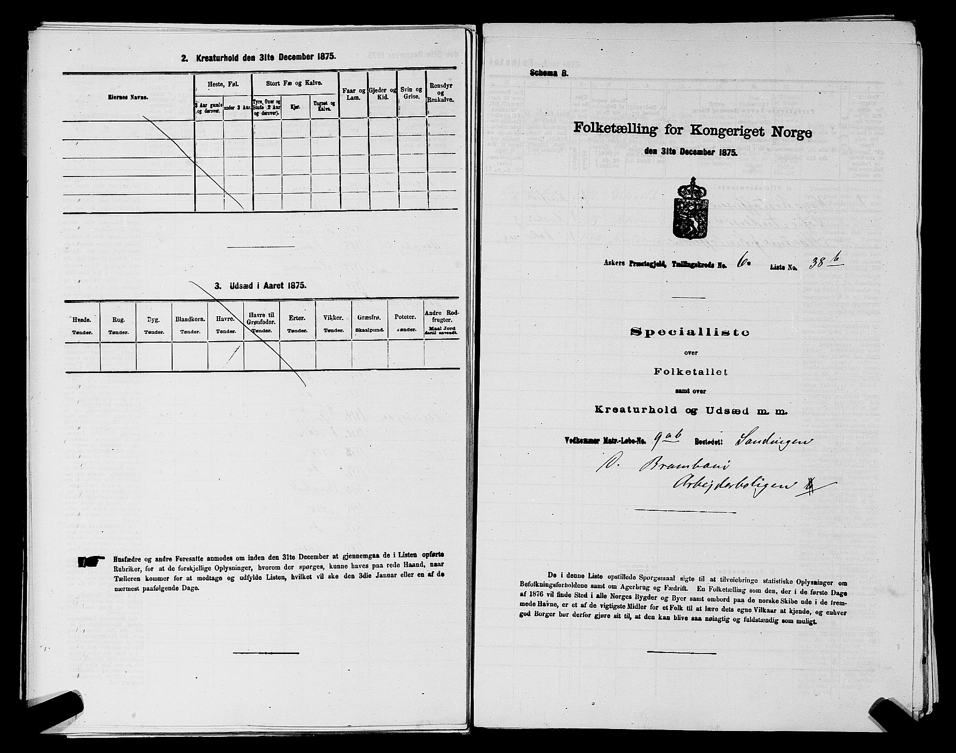 RA, Folketelling 1875 for 0220P Asker prestegjeld, 1875, s. 1196