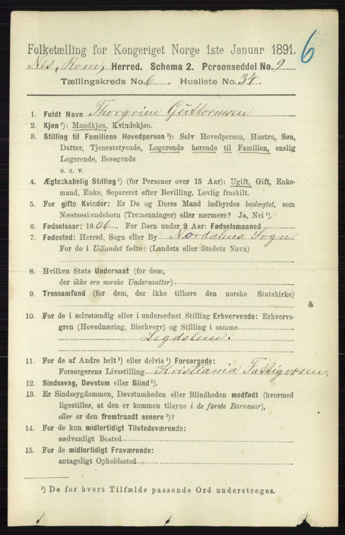 RA, Folketelling 1891 for 0236 Nes herred, 1891, s. 3602
