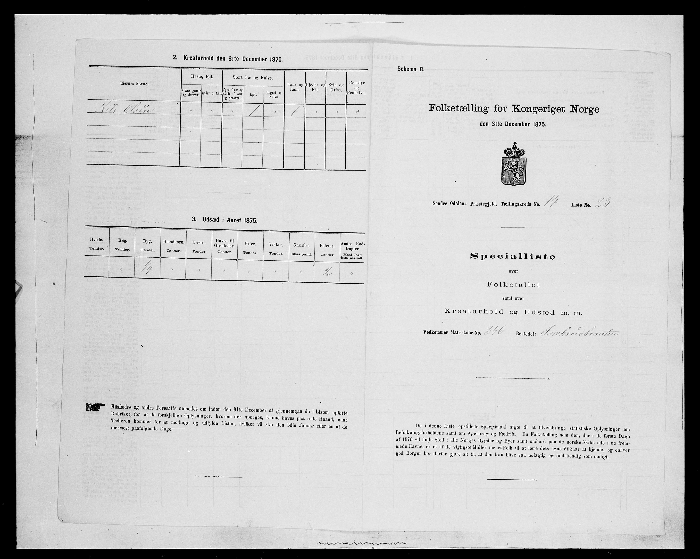 SAH, Folketelling 1875 for 0419P Sør-Odal prestegjeld, 1875, s. 1369