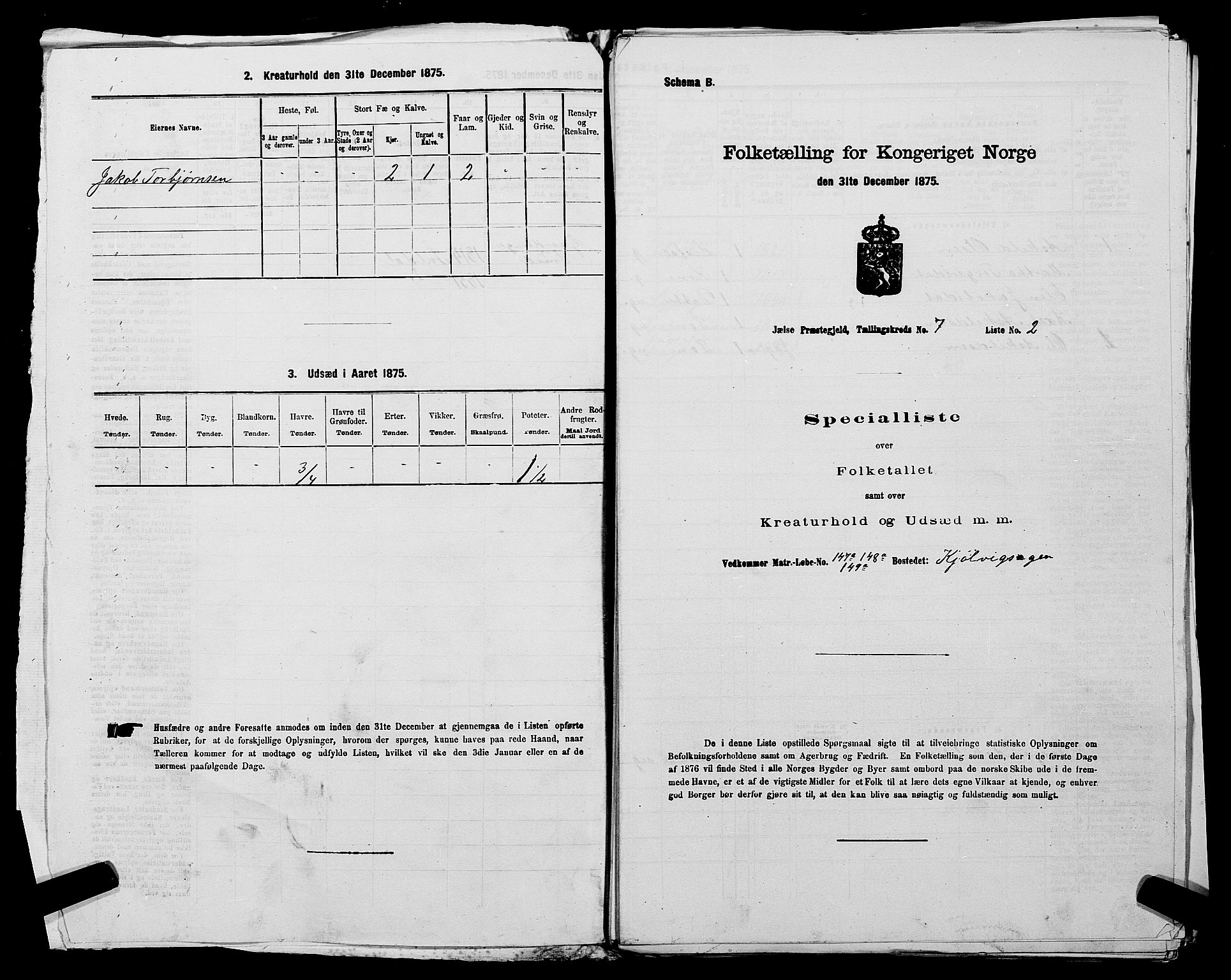 SAST, Folketelling 1875 for 1138P Jelsa prestegjeld, 1875, s. 587